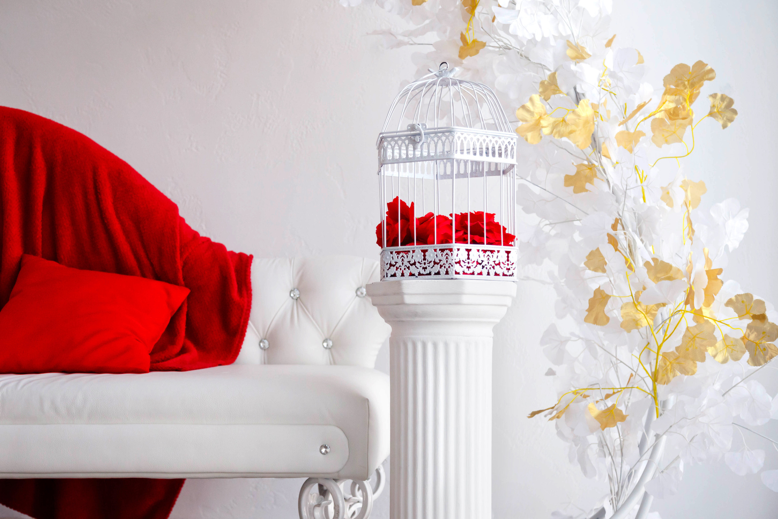 INTERIOR PHOTO. AGarte: photo and video shooting in St. Petersburg and Moscow