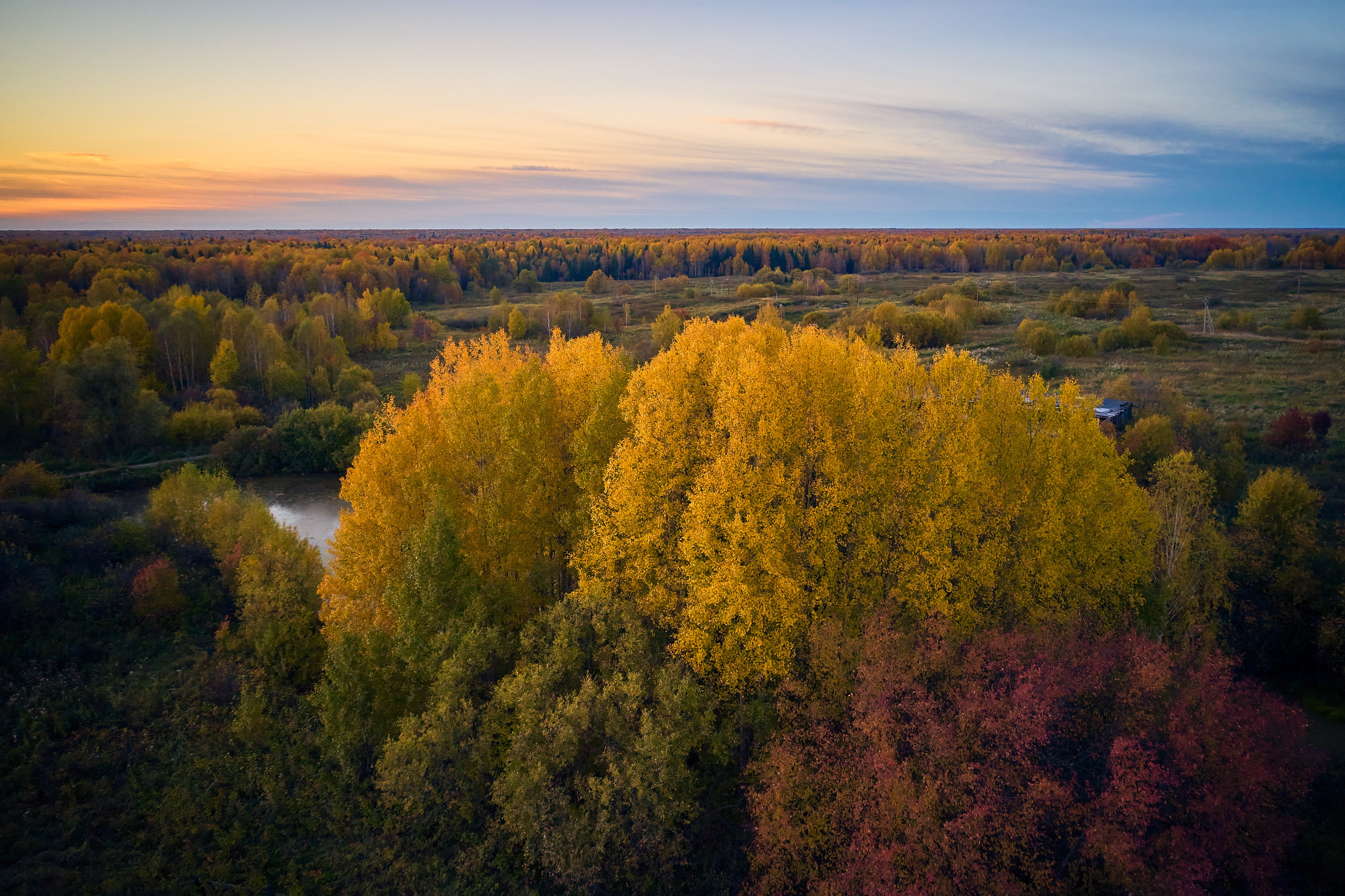 Фото с птичьего полета. DMITRY MOISEENKO — фотограф, художник, топ-стилист