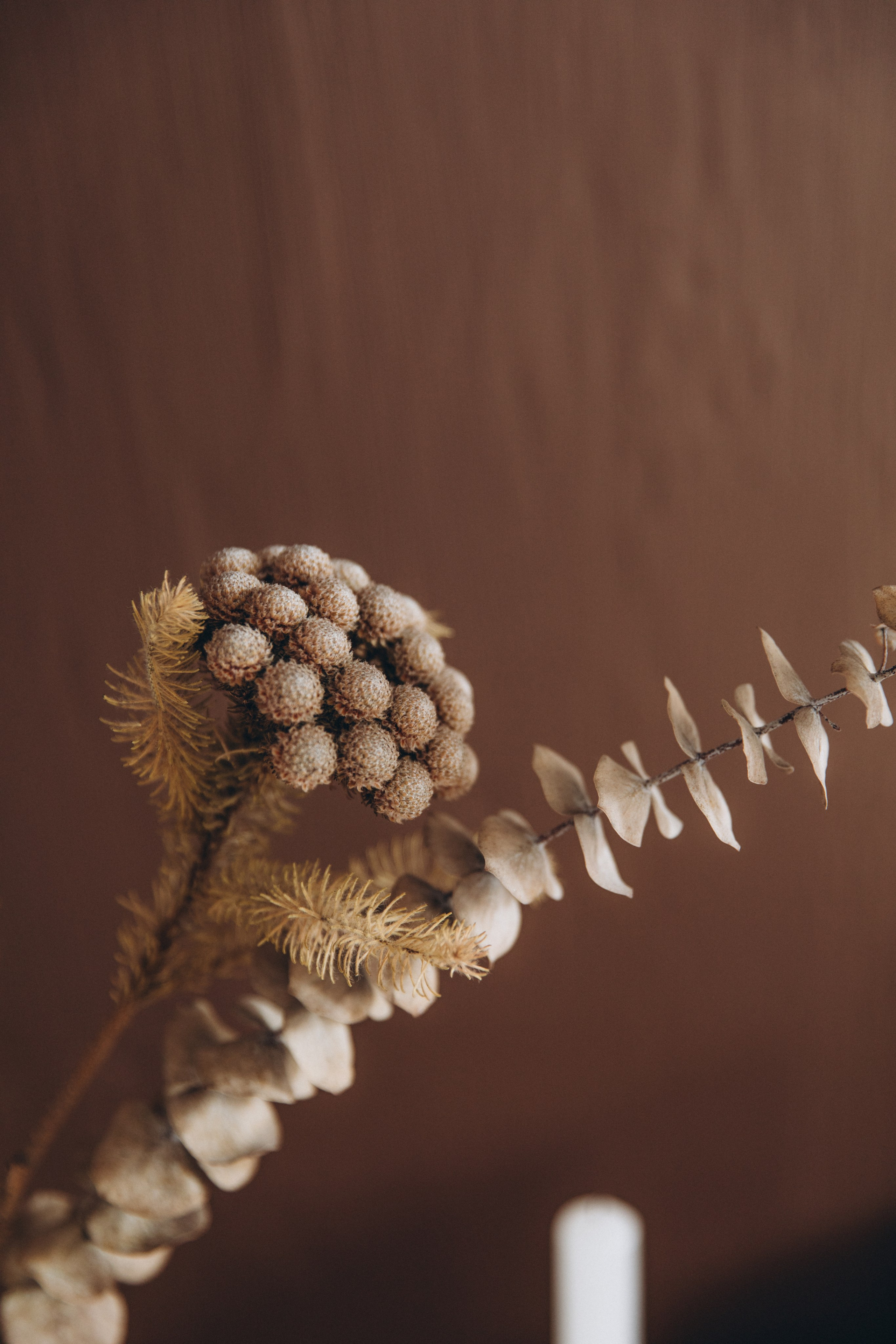 ЗАЛ «MOBY». Фотостудия в Мариуполе «Берлога»