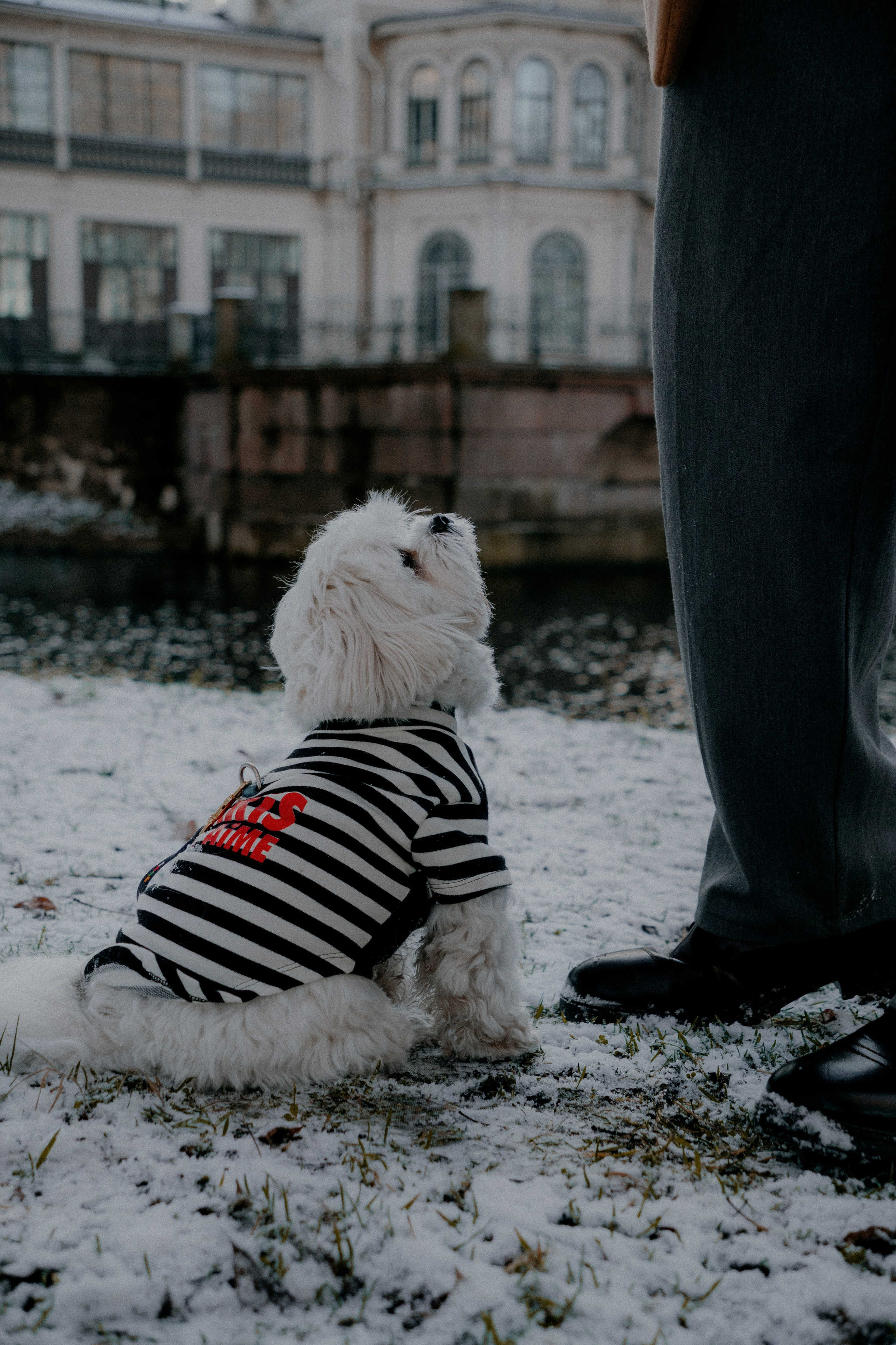 Julia and Roma. Фотограф в Санкт-Петербурге Бирюлев Илья