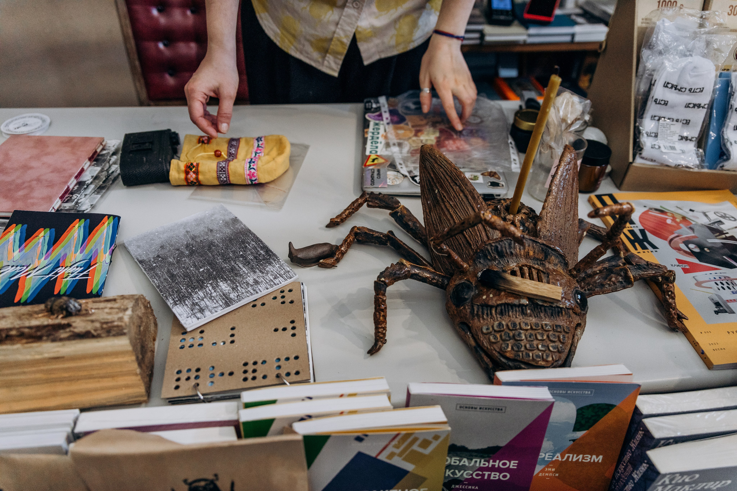 Презентация фотокниги «Beetlemania», 21.01.2024, г. Краснодар, независимый книжный «Чарли». Лера Круглова