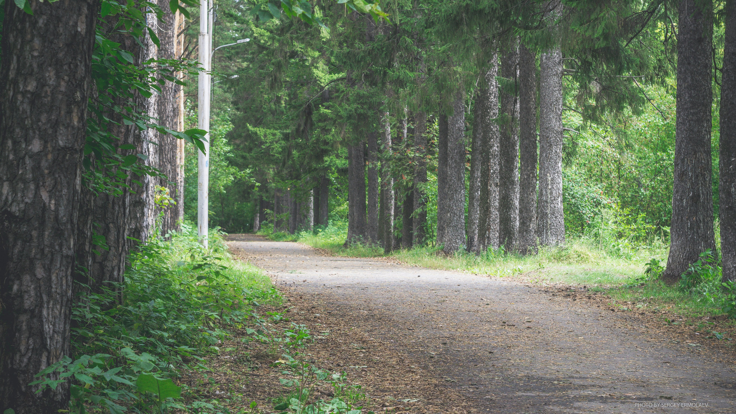 На тропах старинного парка