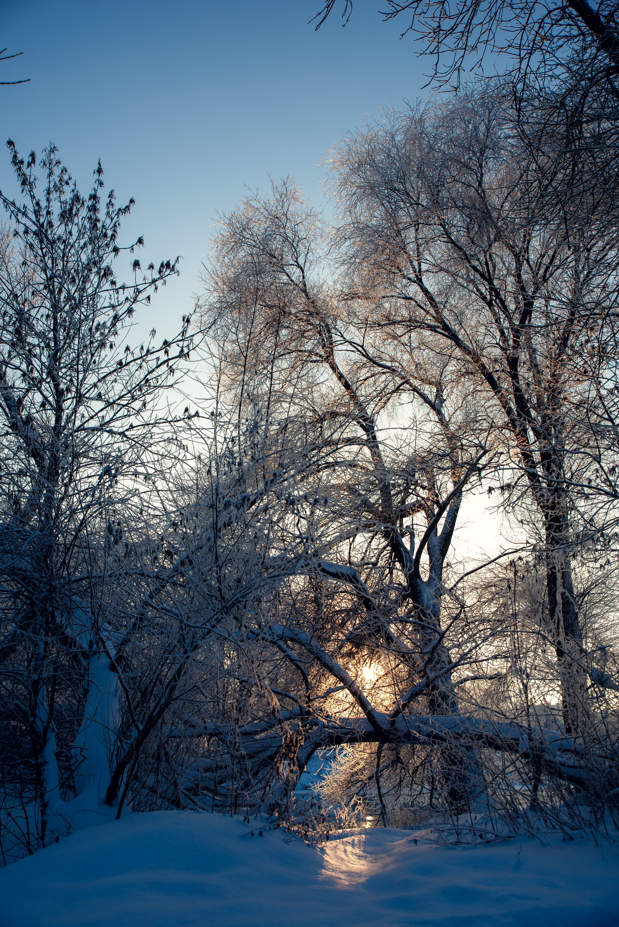 Зимушка зима. Фотограф Крещение Венчание Москва