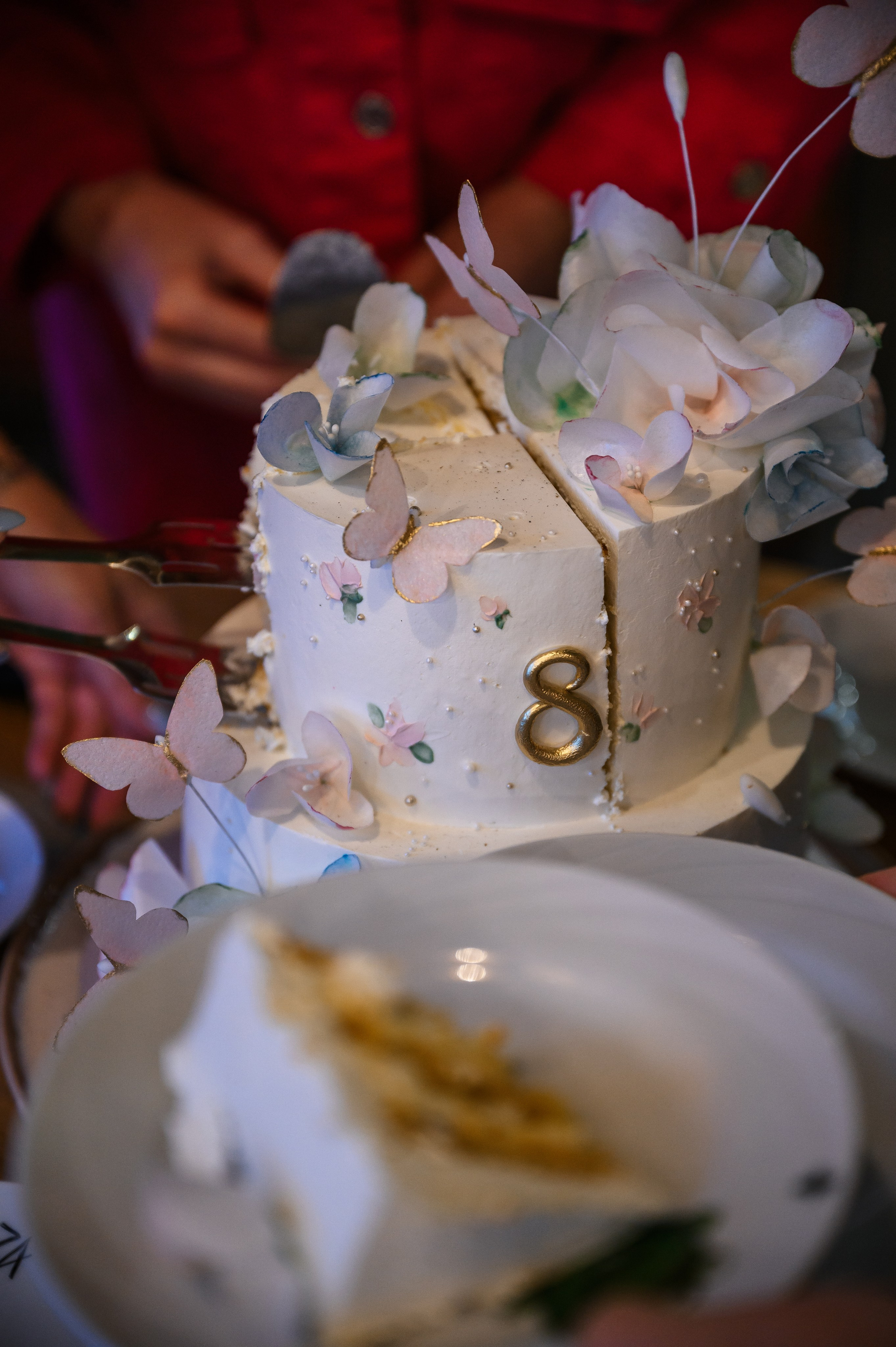 День Рождения: Варе 8 лет. Wedding and family photographer USA