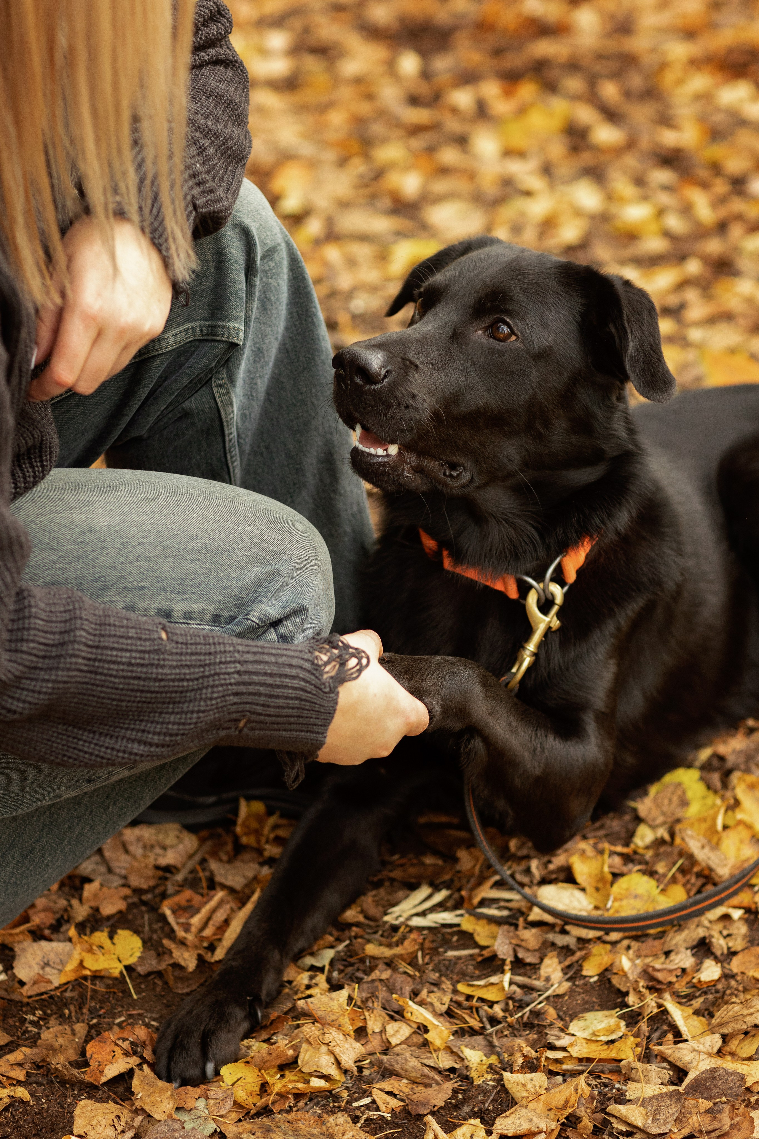 Анастасия и Балу. Фотограф — Анималист Наталья Тямушева