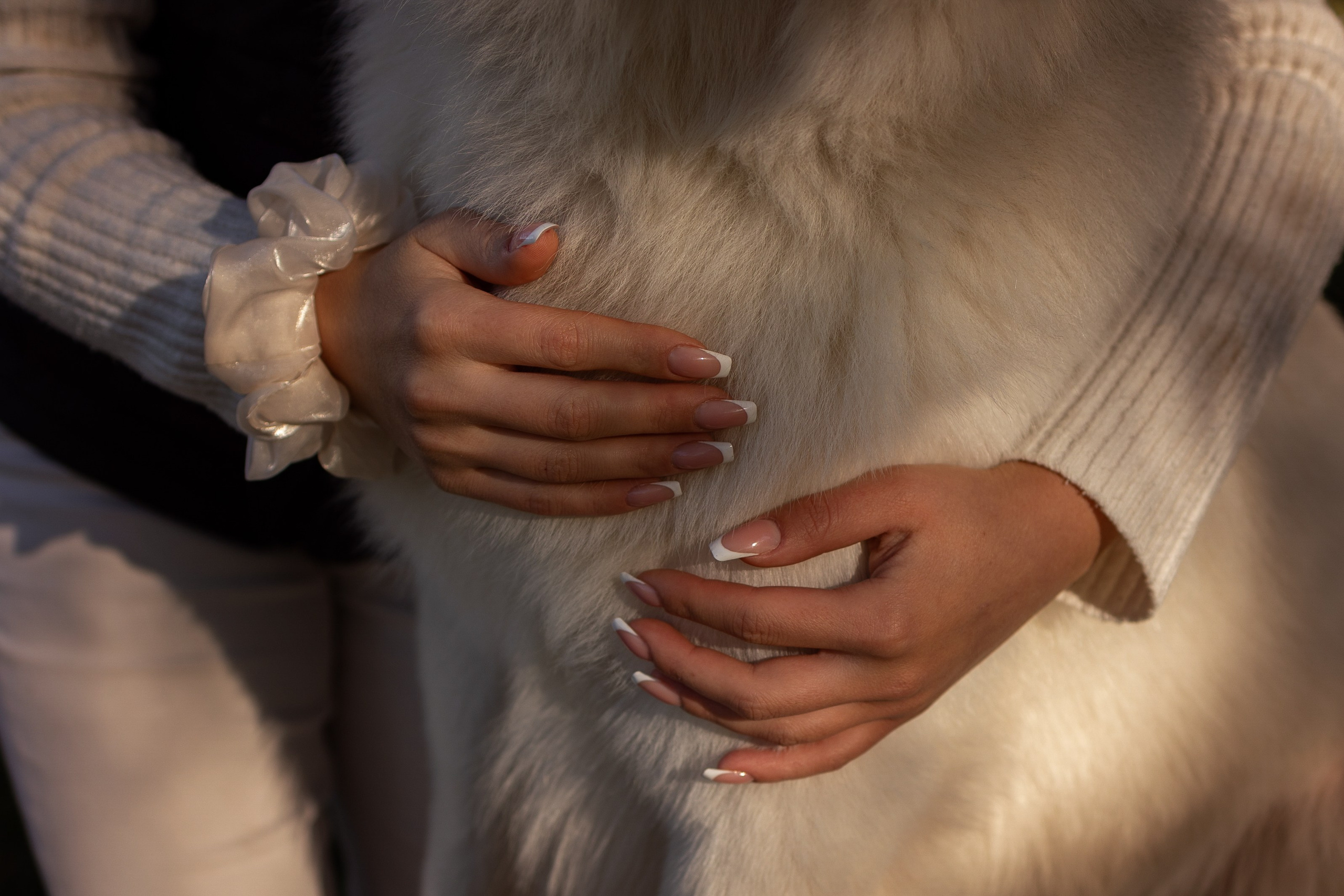 Алина и Райден. Фотограф — Анималист Наталья Тямушева