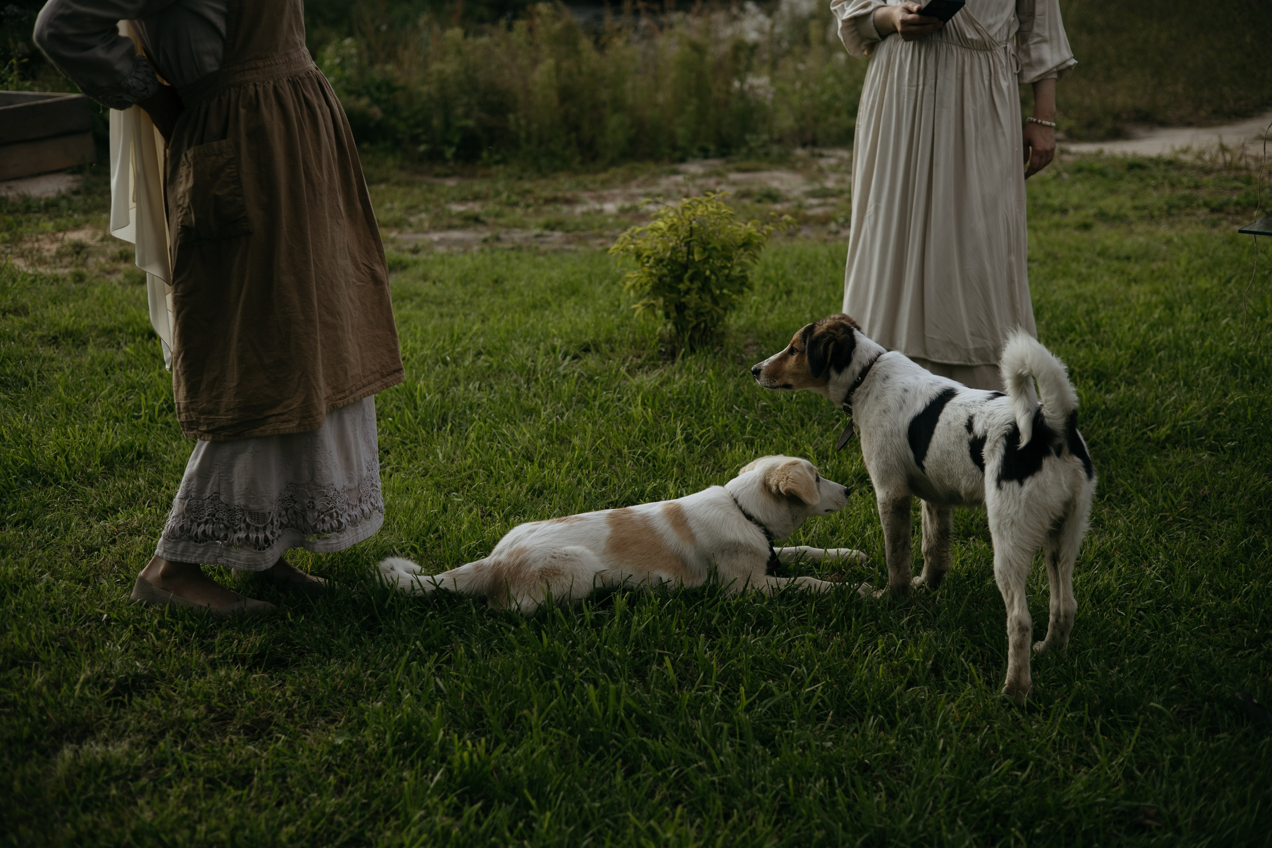 ДИНИЯ. Фотограф Элла Ефимова