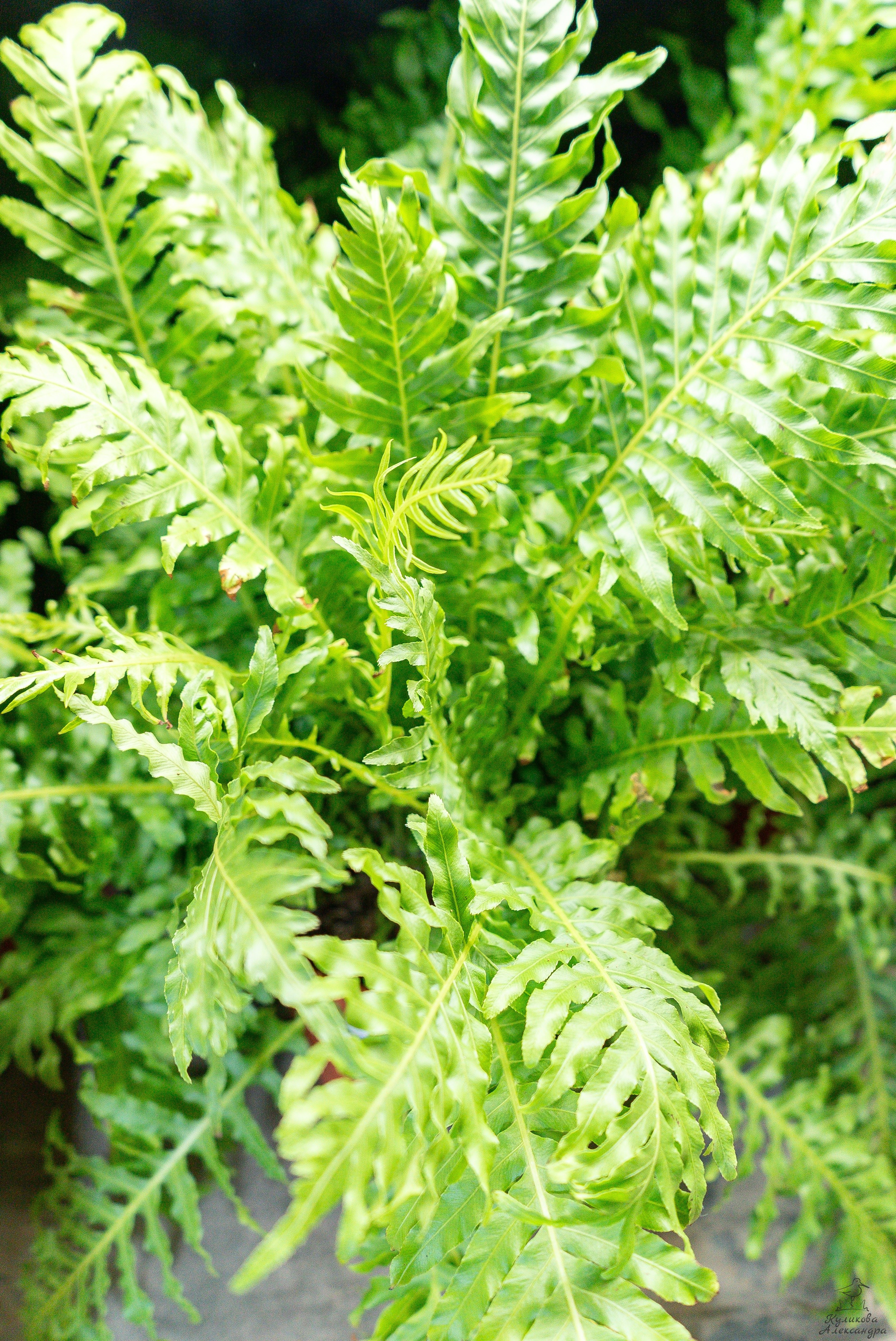 Гроубокс Артплей апрель. Александра Куликова фотограф, Москва