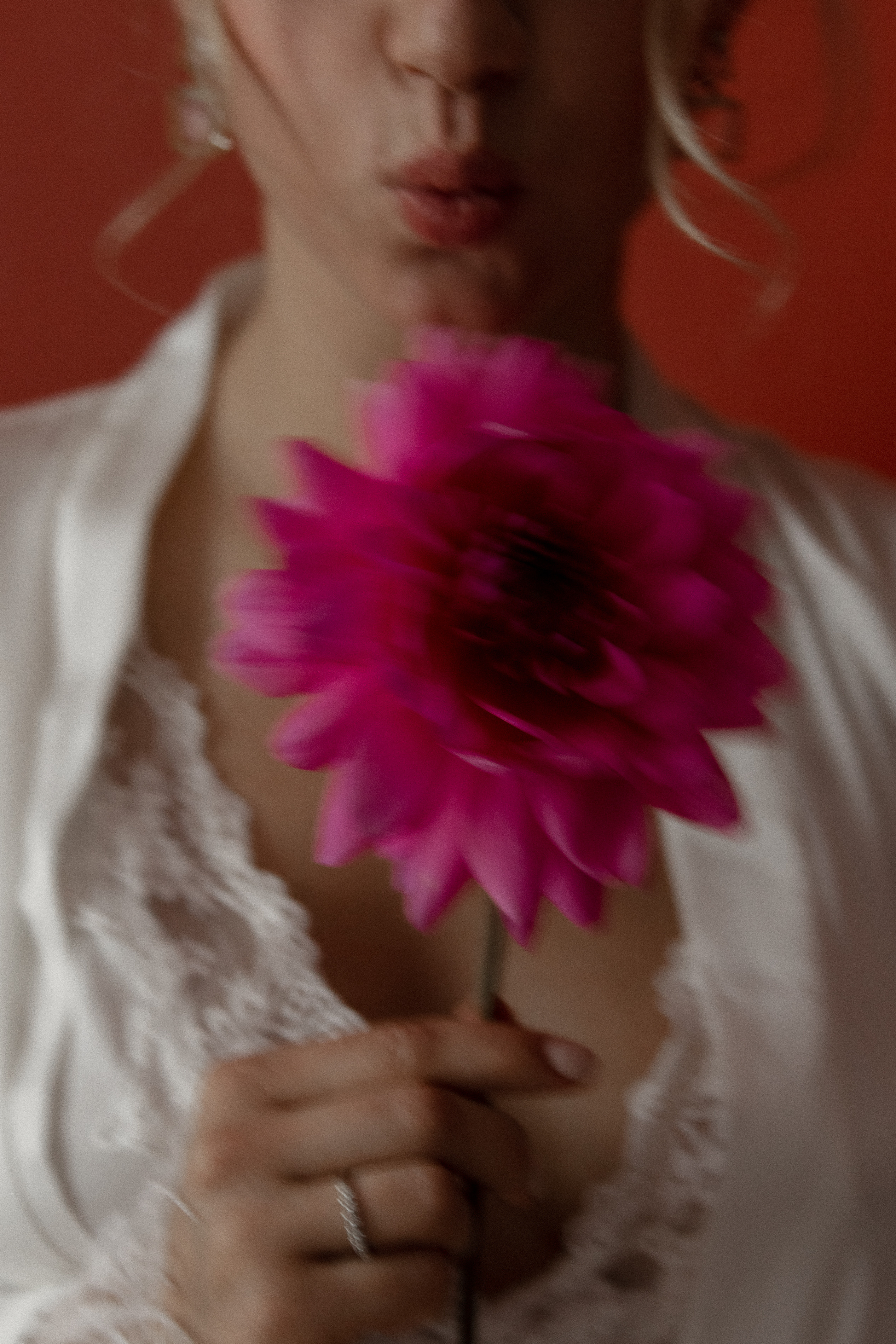 Георгины. Свадебный фотограф Ярославль, Рыбинск