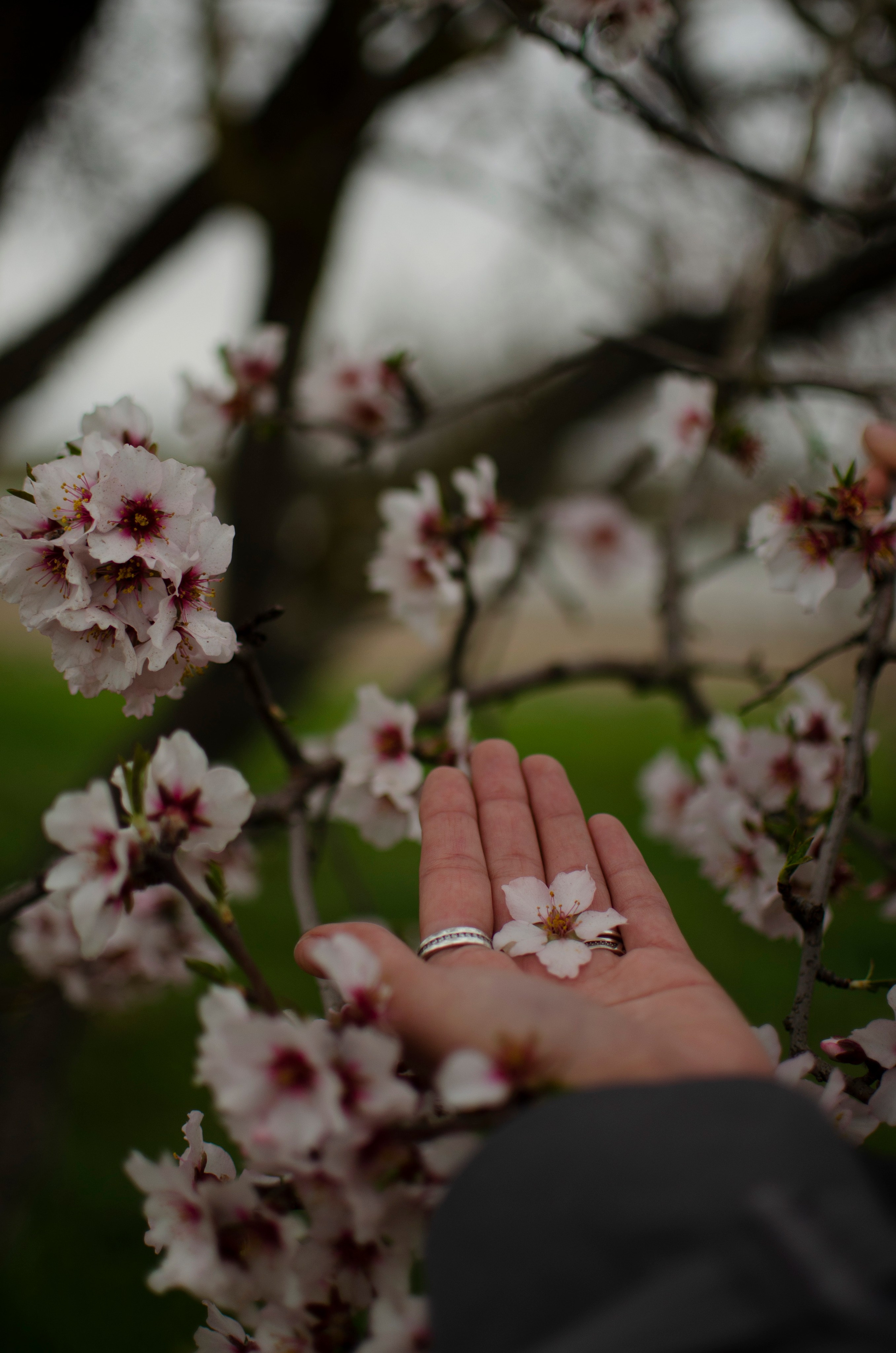 Катя. Фотограф в Евпатории и по Крыму с которым комфортно всем Добровольская Татьяна