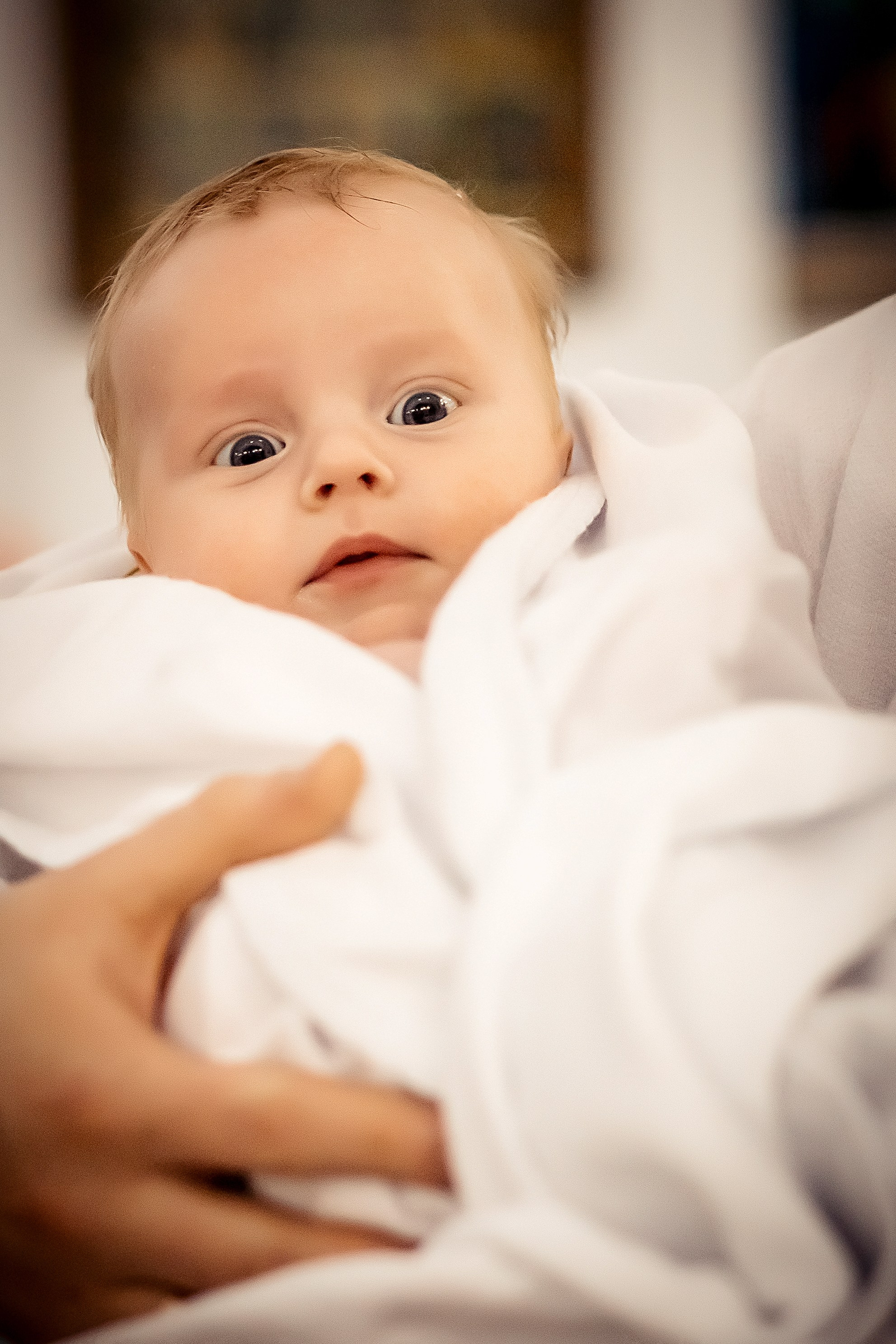 Крещение Льва