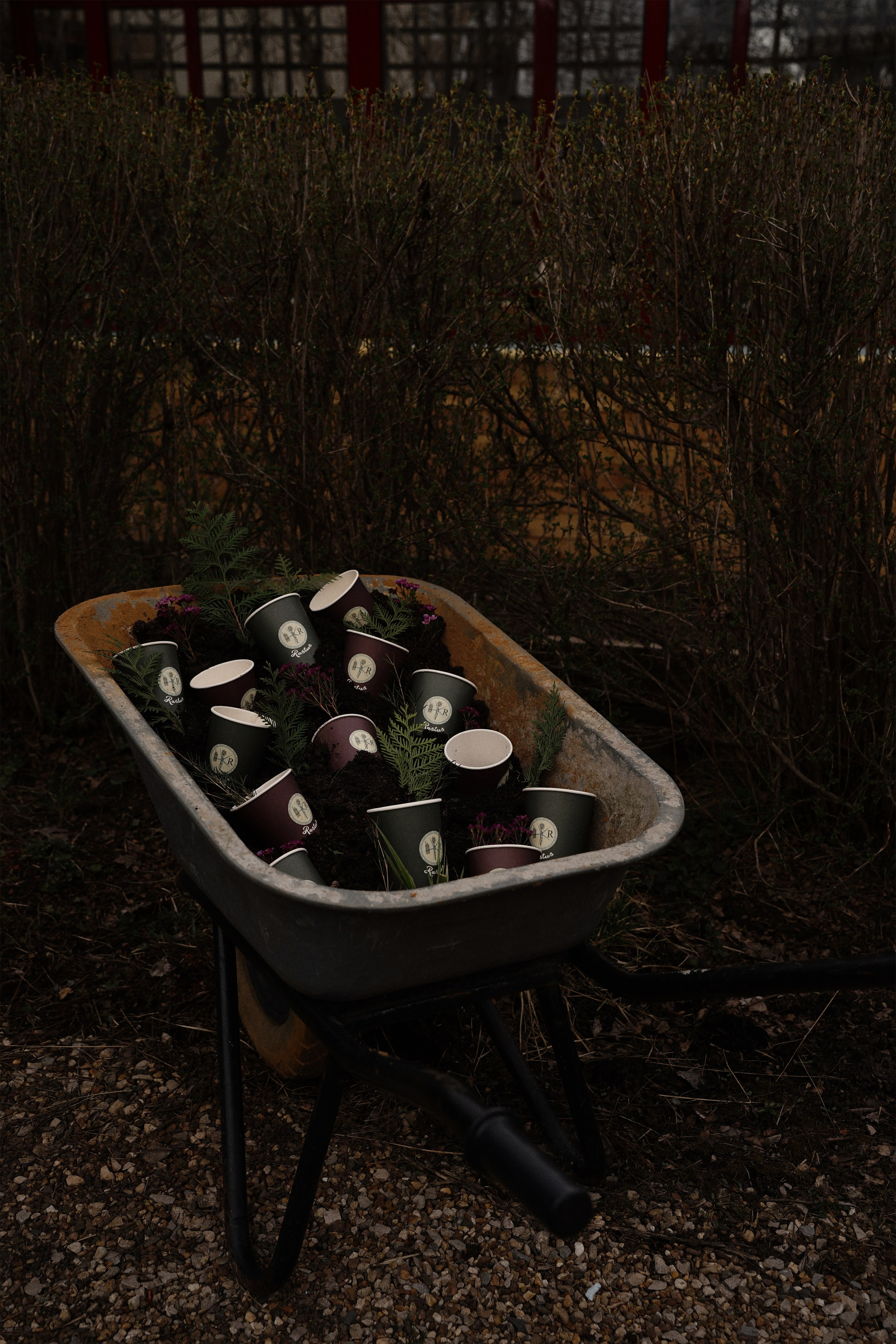 Бизнес съемки. Стильный фотограф и видеограф в Москве и Троицке