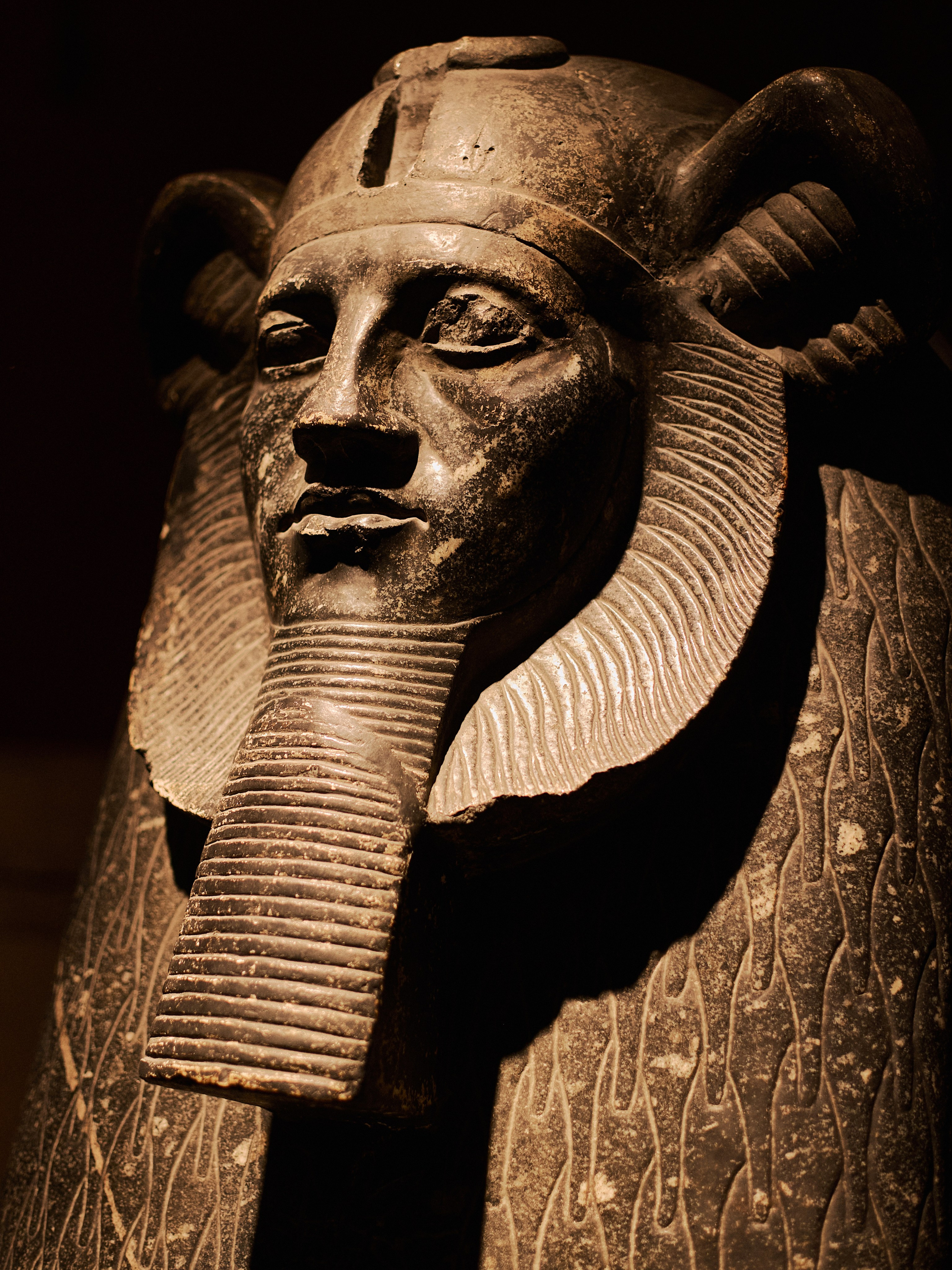 Другое 4. Jorgis — фотограф в Хургаде / обучение фотографии