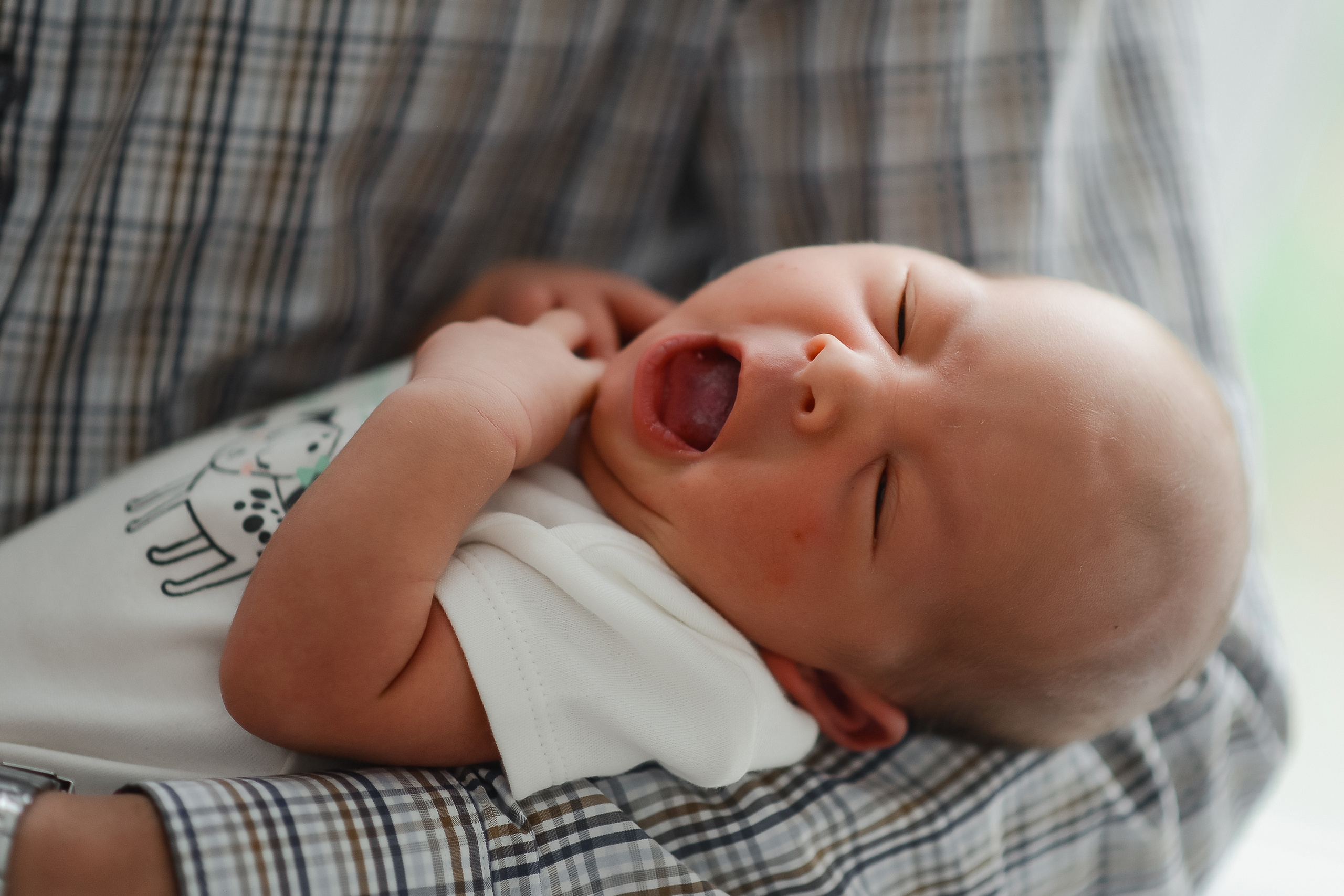 Новорожденные Life. Thephoto-russia.ru