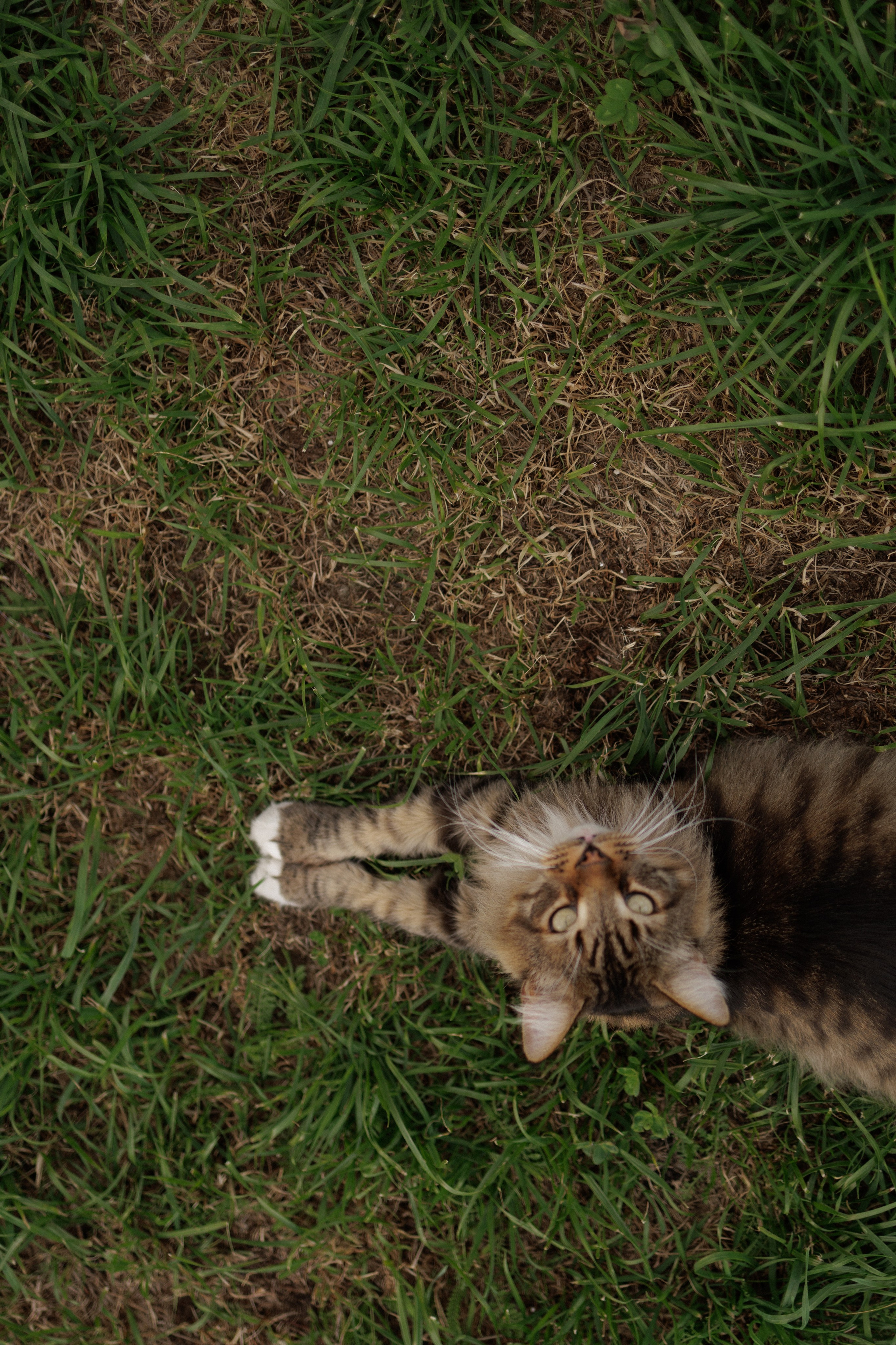 На закате одного прекрасного вечера. Фотограф Софья Гречка