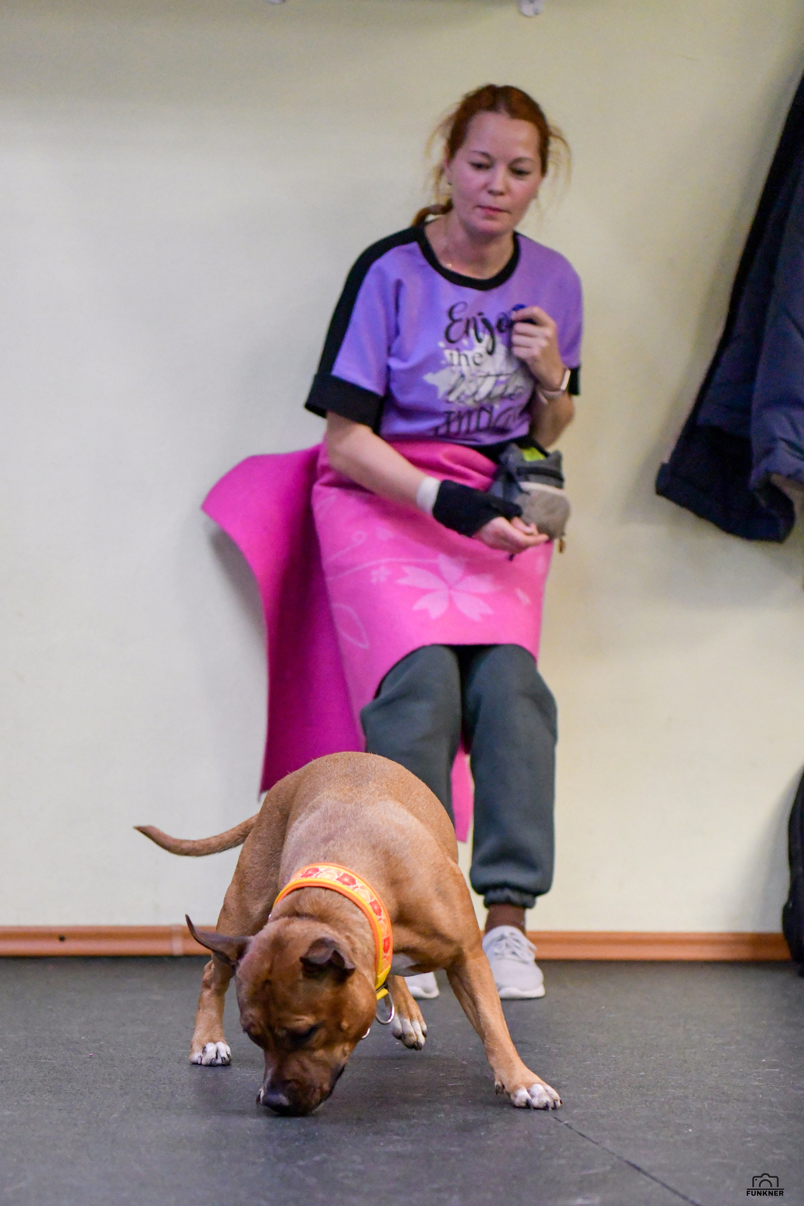 Кинологический клуб «Бодрый хвост». Свой взгляд через объектив