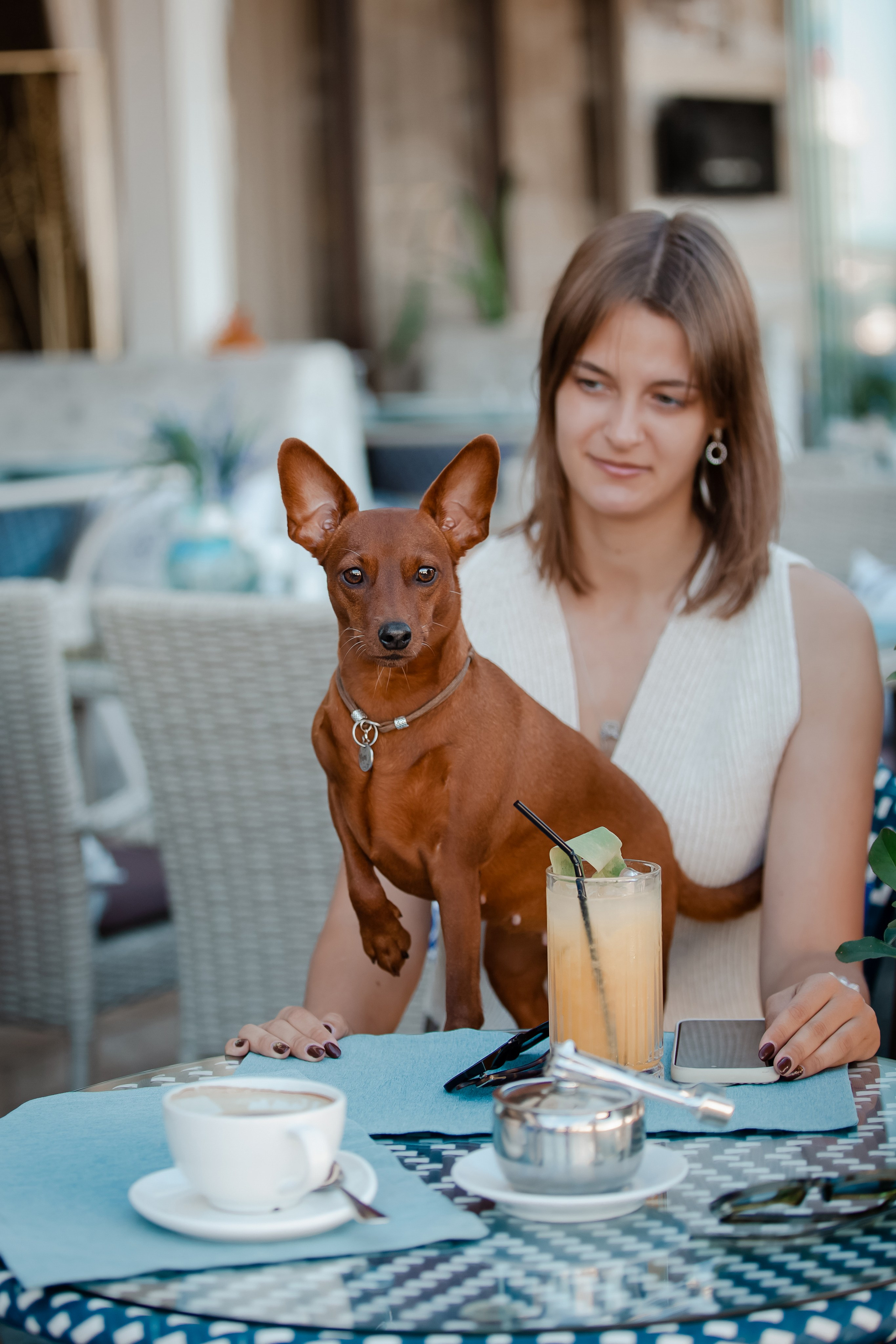 Цвергпинчер в Геленджике. Фотограф-анималист в Краснодаре Маша Мельникова
