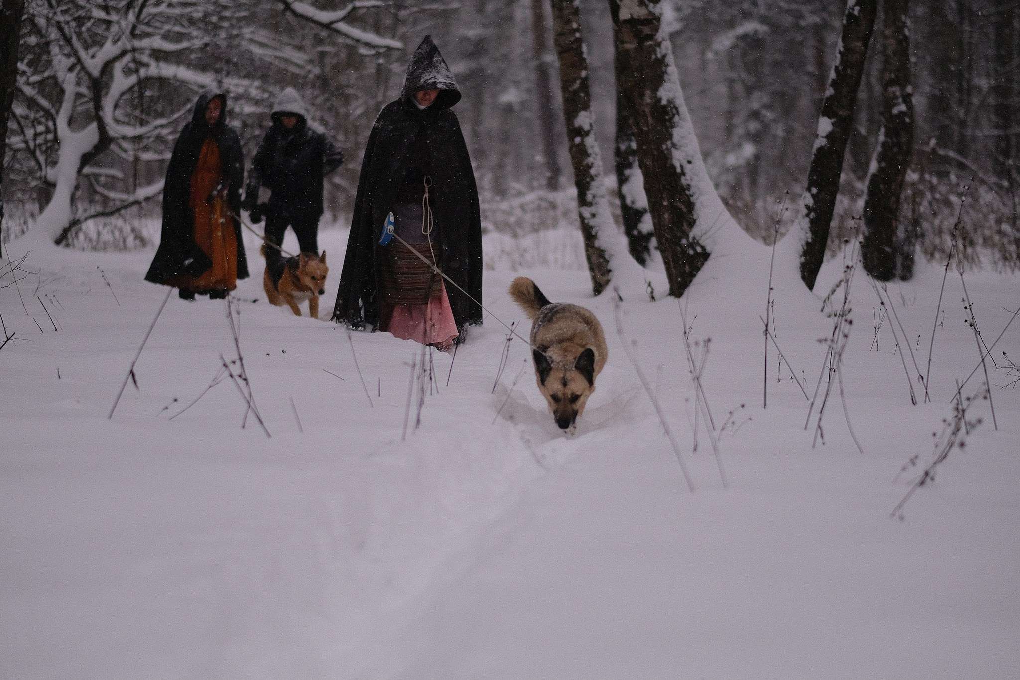 Герда, Лиса и их люди. Дмитрий Бречалов