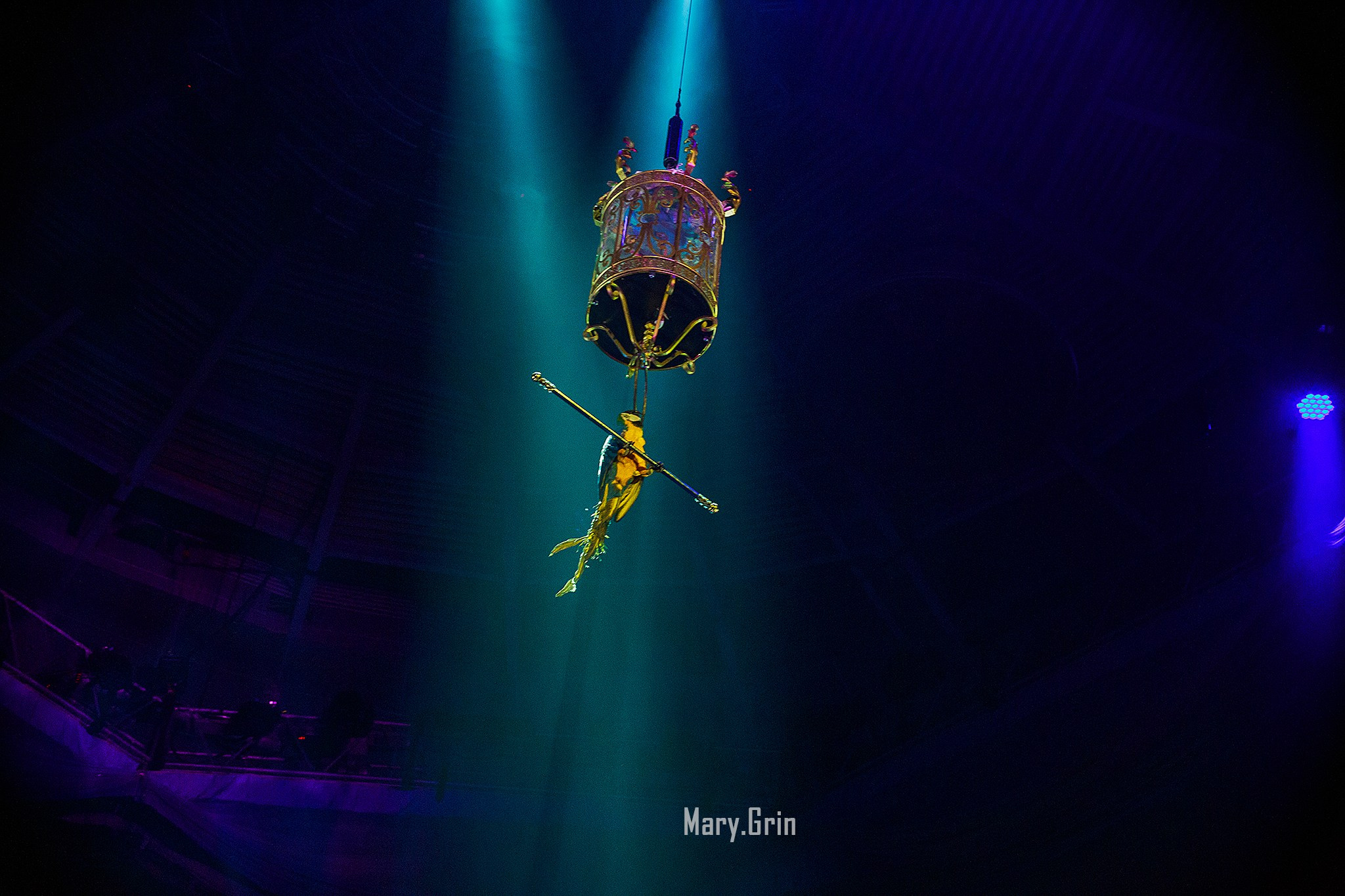 Цирк Гии Эрадзе. Детский и семейный фотограф, фотограф мероприятий Нижний Новгород