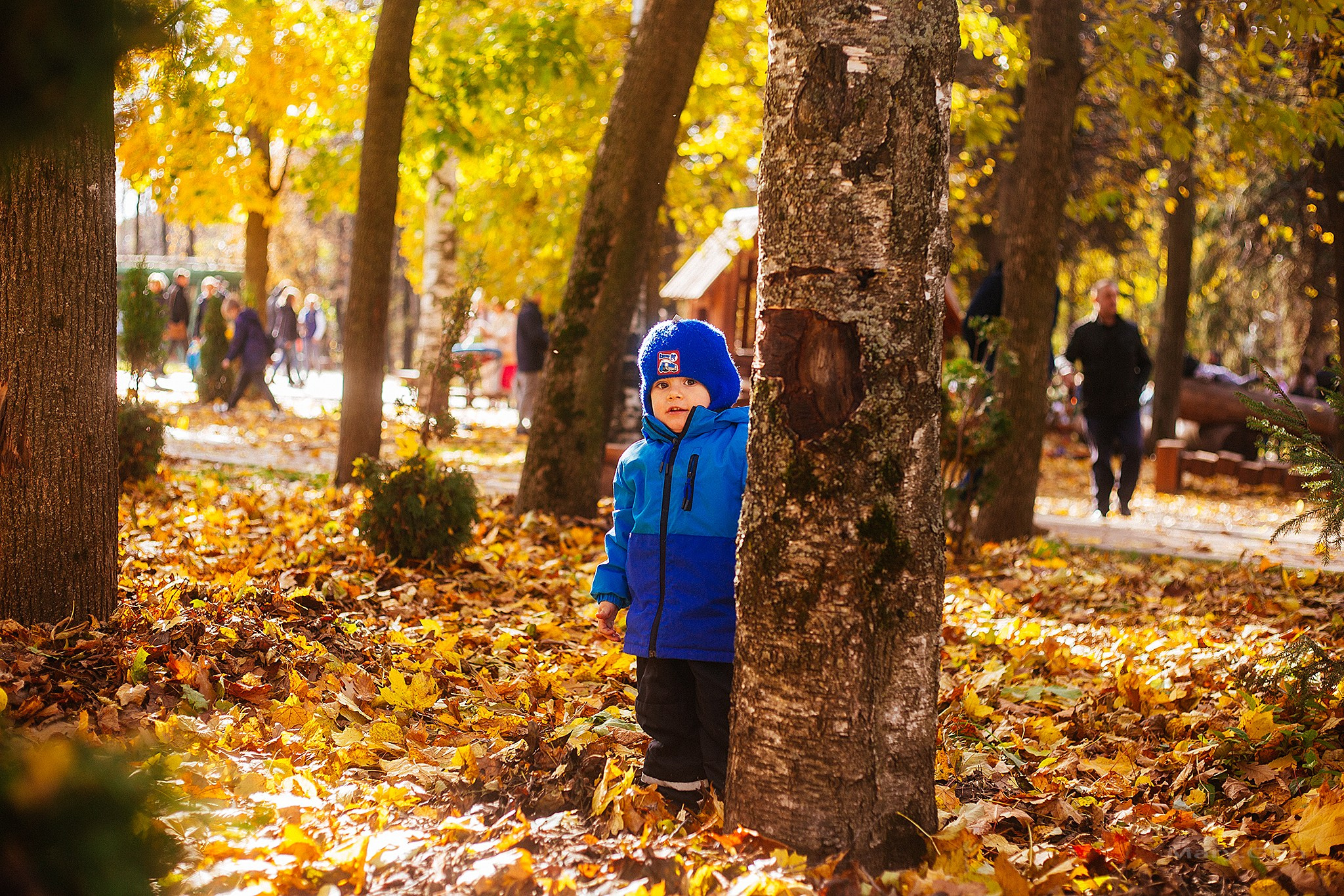 Осень в парке. Детский и семейный фотограф, фотограф мероприятий Нижний Новгород