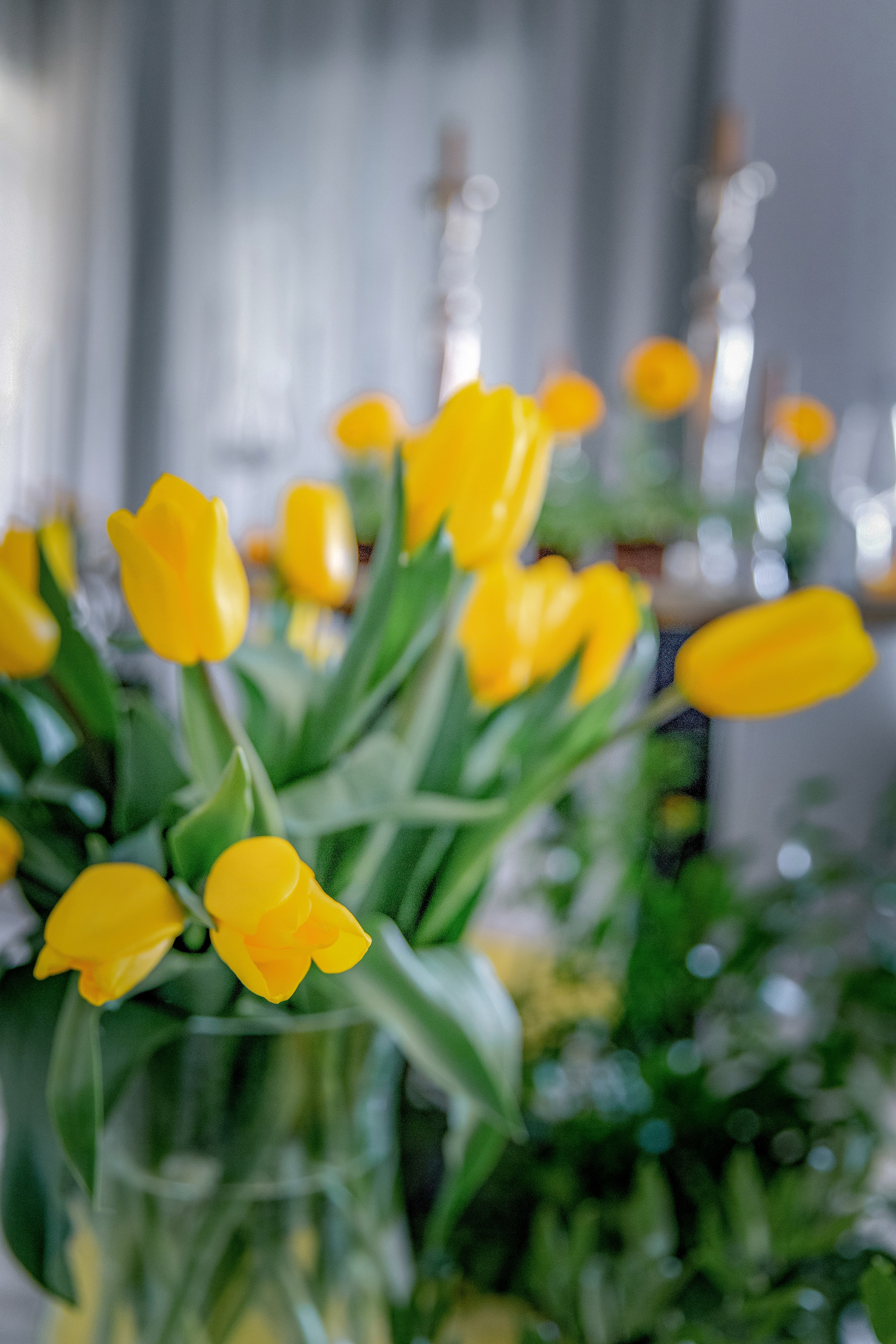 WEDDING STORY. СВАДЕБНЫЙ ФОТОГРАФ В КРЫМУ И СЕВАСТОПОЛЕ