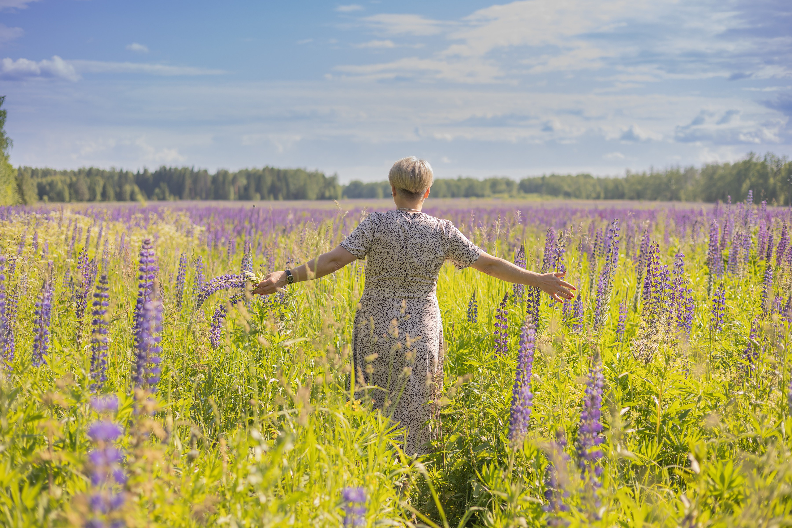 Люпиновое поле