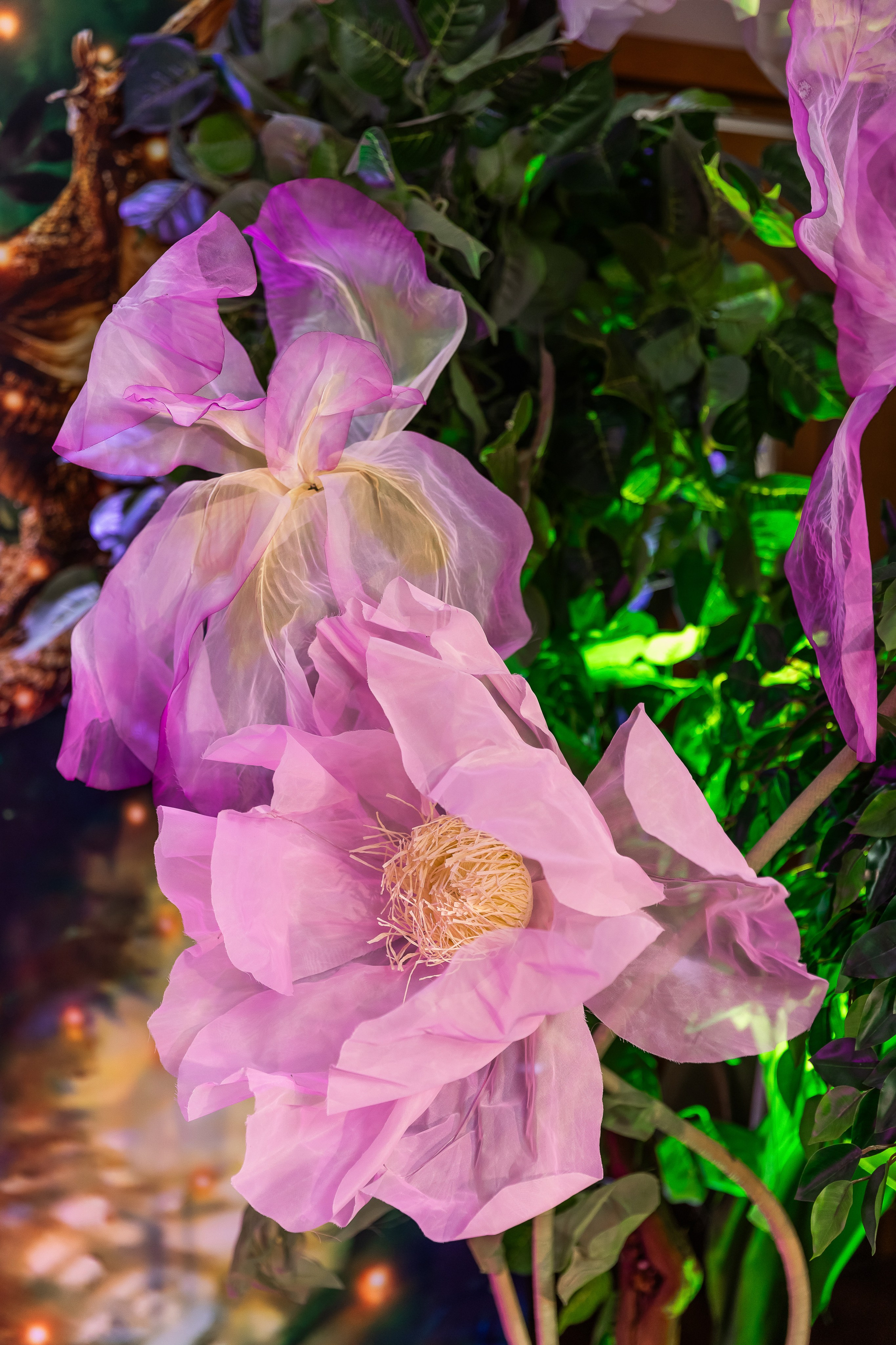 День Рождении Евы. NesterovaMaria.ru