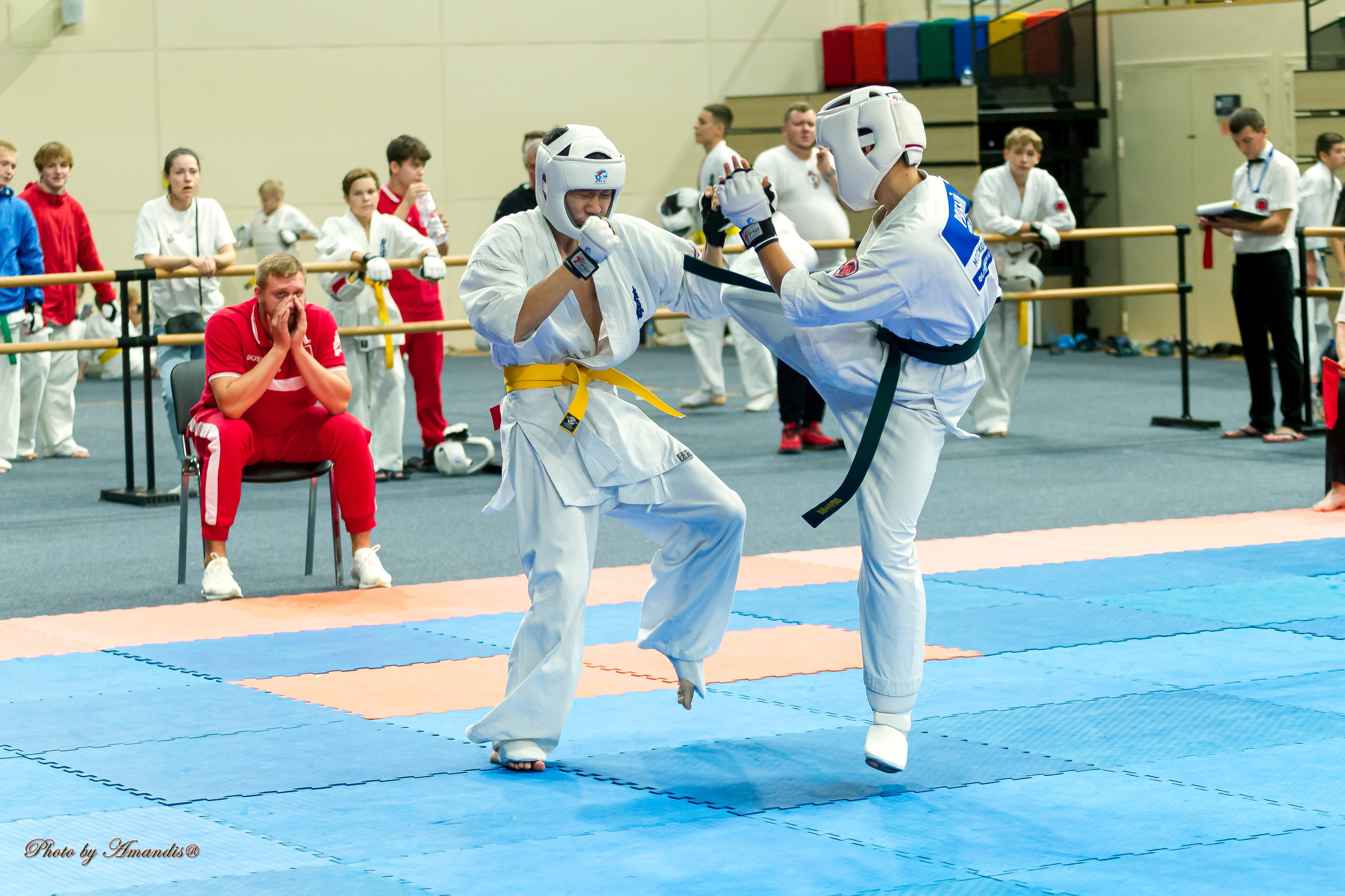 Первенство Московской области по Киокушин в СК «Жаворонки». Репортажная съемка в Москве и области. Анималистика