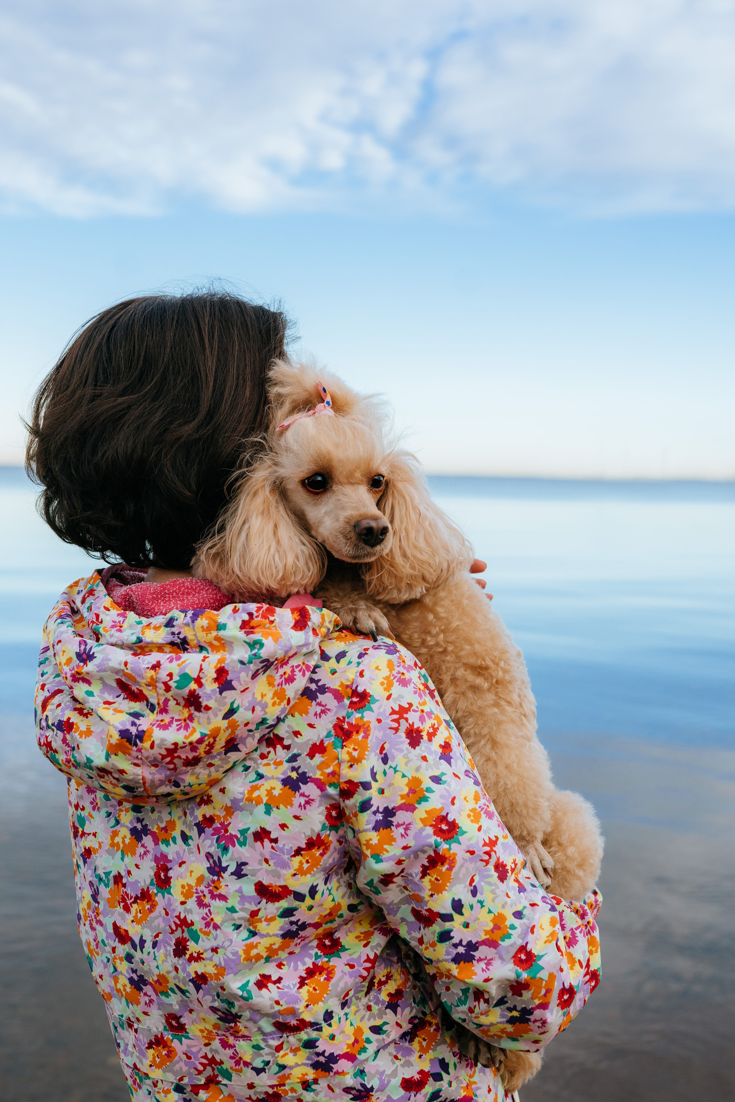Фотосессия с собакой на пляже. Фотограф анималист в Спб недорого Олеся Майорова