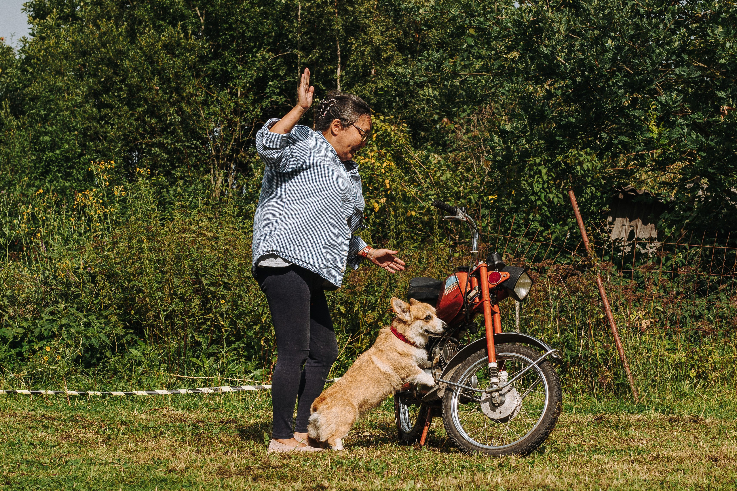 Соревнования по ноузворку в Новожилово. Фотограф анималист в Спб недорого Олеся Майорова