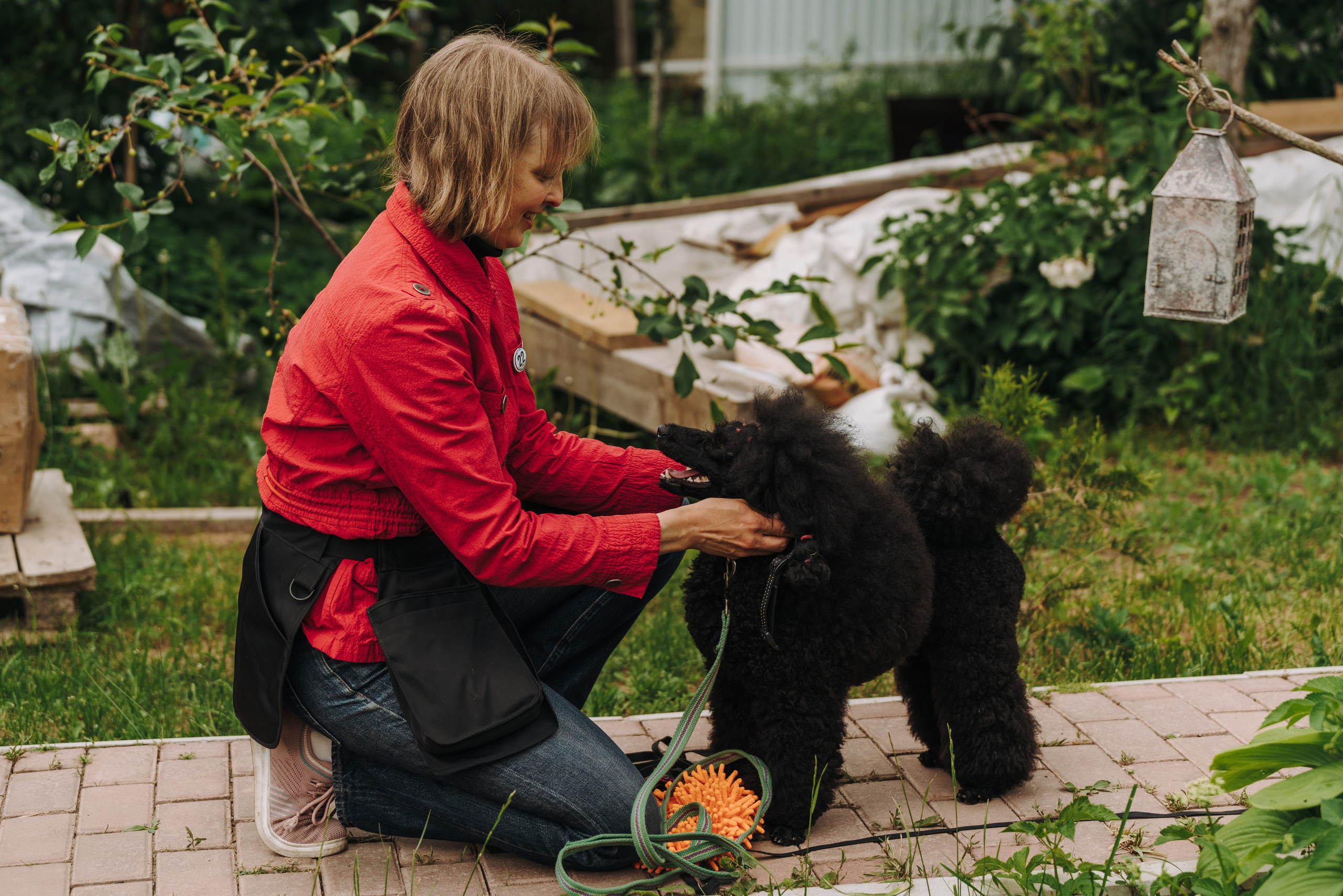 Соревнования по ноузворку. Фотограф анималист в Спб недорого Олеся Майорова