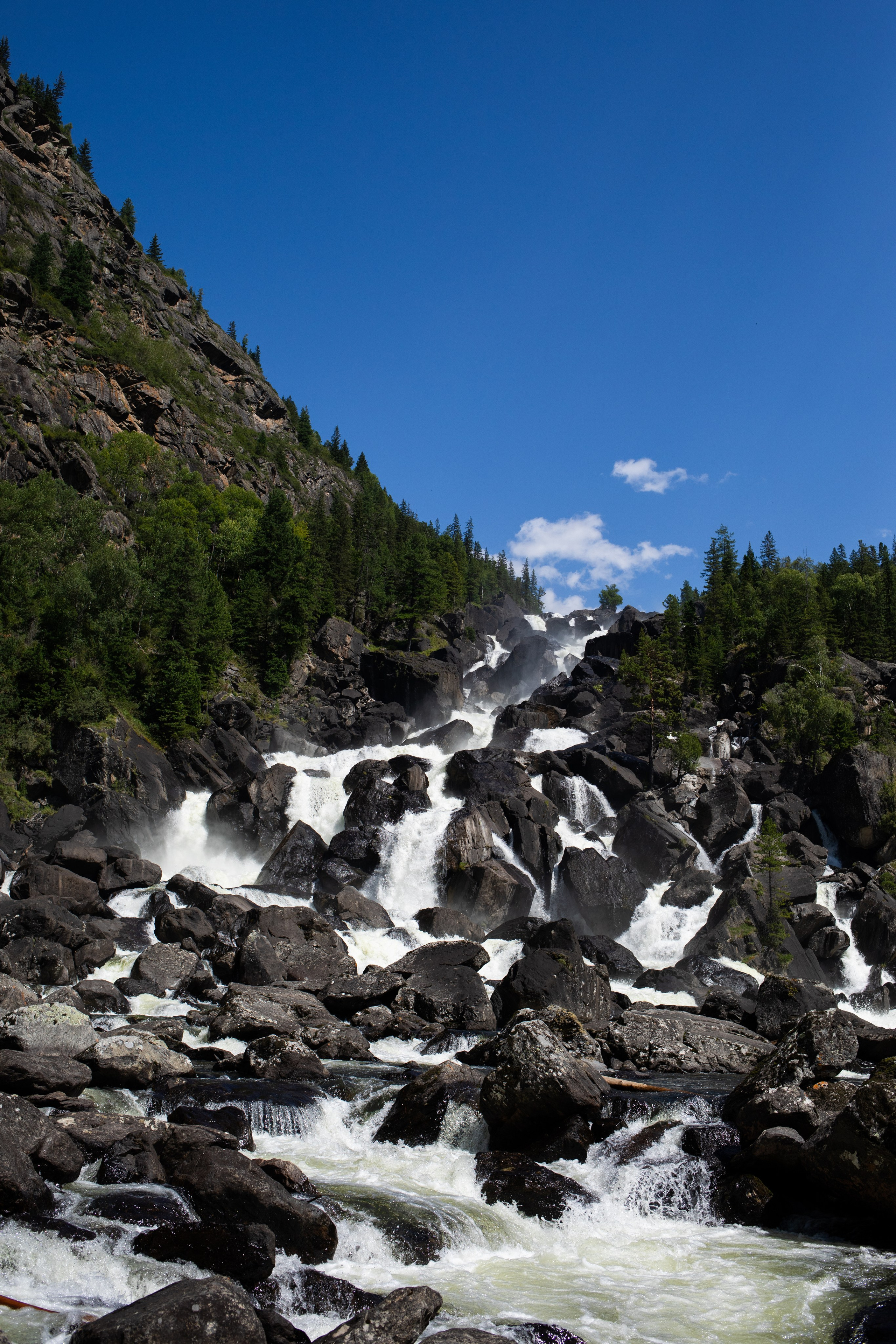 Altai. Yulia Tsyganova