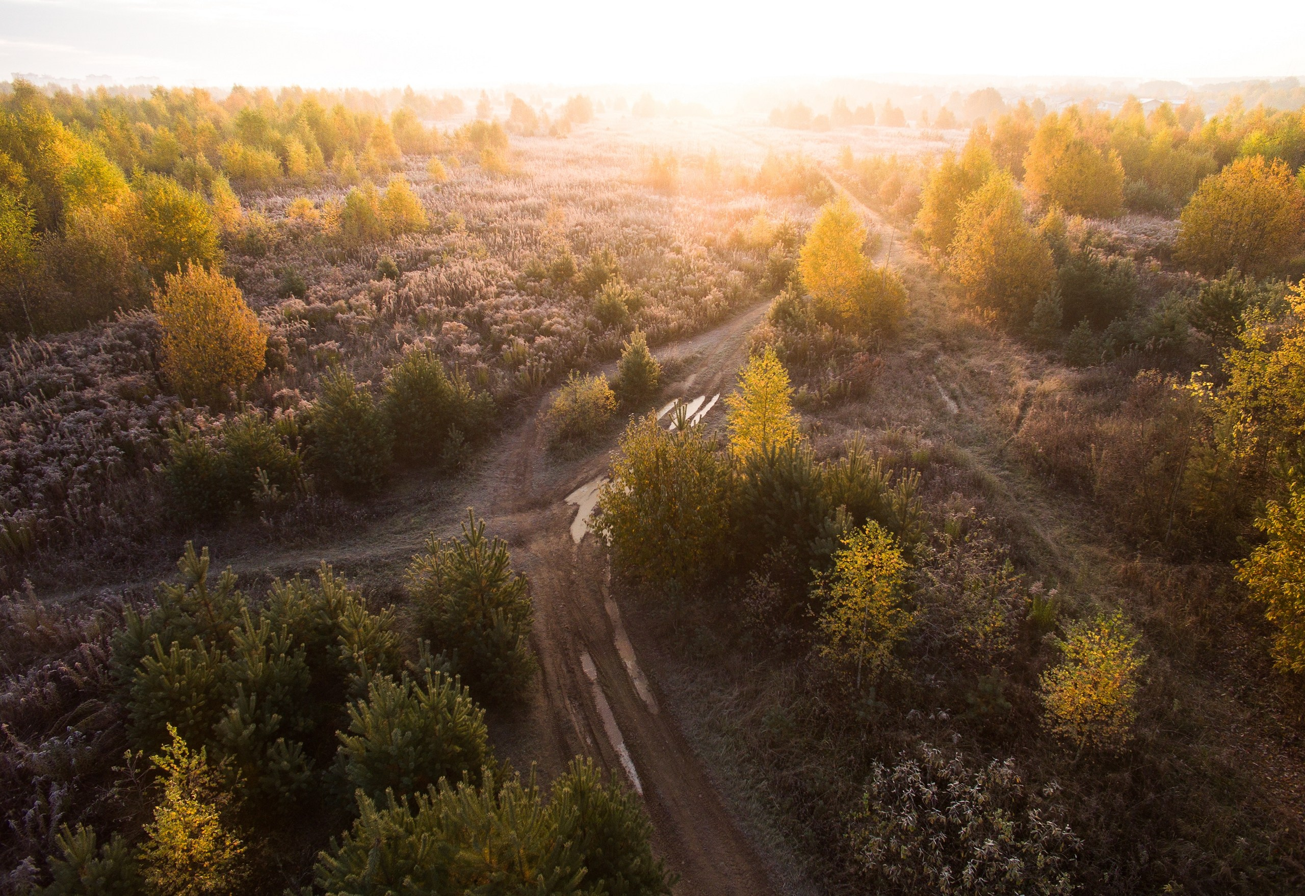 Средняя полоса России. Фотограф Владимир Медведев