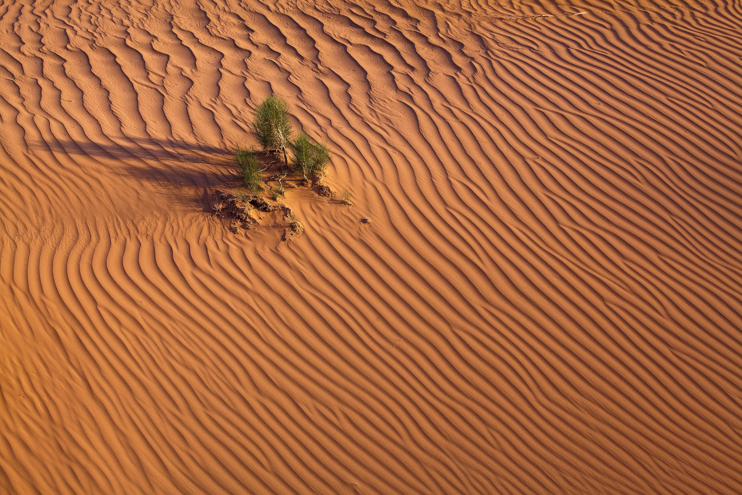 Монголия. Фотограф Владимир Медведев