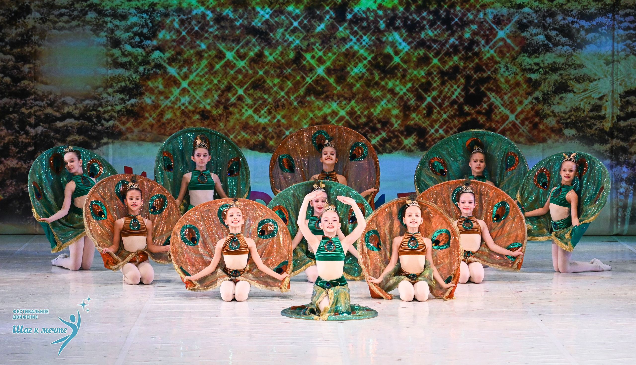 21.12.2025 Фестивальное движение «Шаг к мечте» г. Москва. Медиастудия Фото Концепт