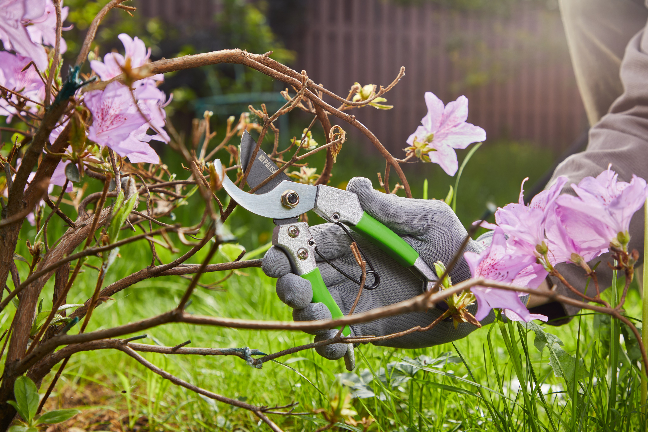 Рекламная фотография. Kushlis photo