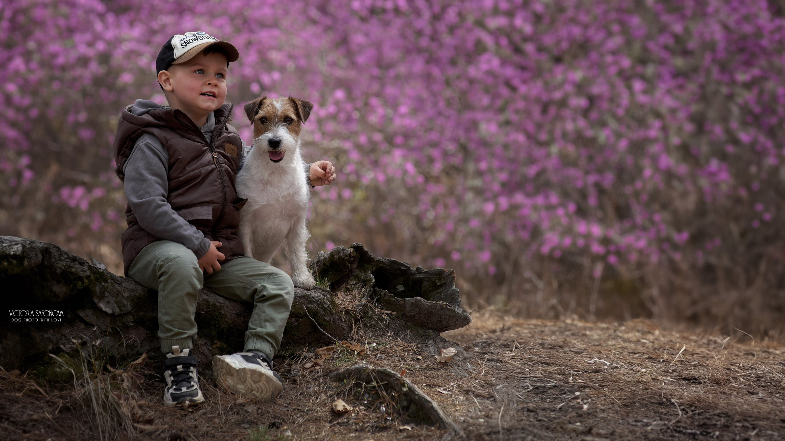 Фотограф анималист Благовещенск. Сафонова Виктория