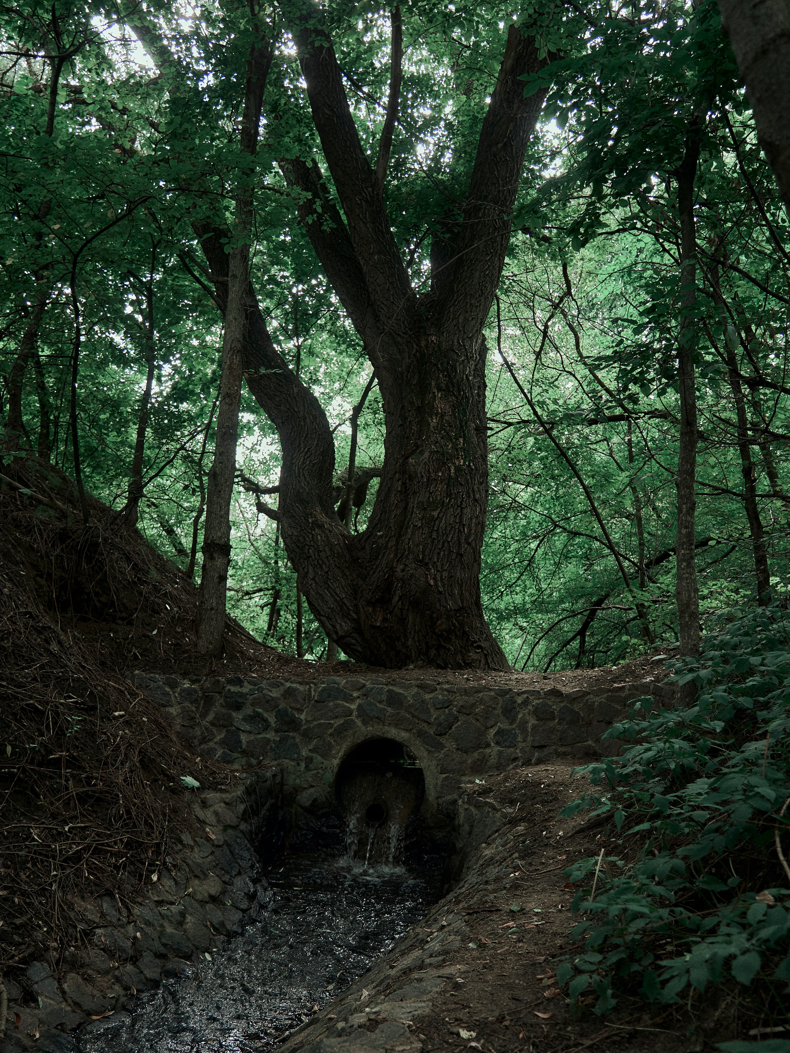 Street. Портретный фотограф в Москве