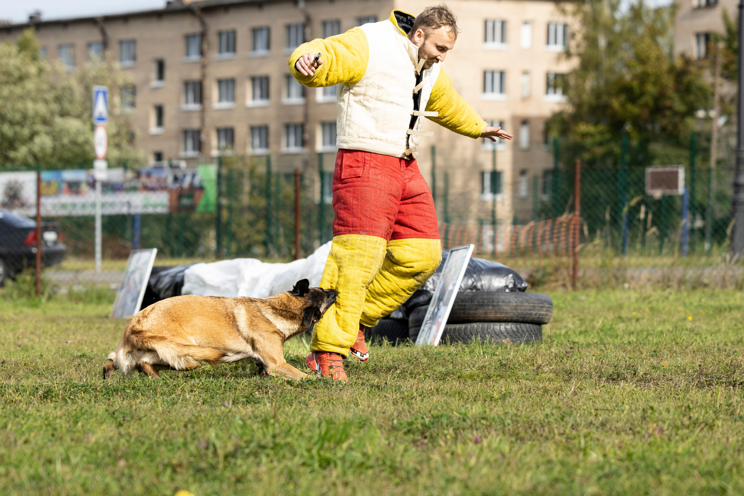 Испытания по Мондьорингу г. Пушкин. Фотограф-анималист Анна Маринич