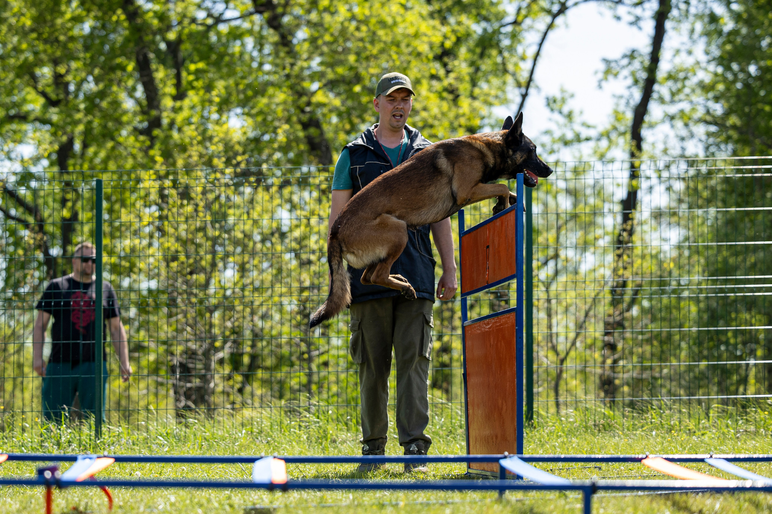 Испытания по мондьорингу в Нижнем Новгороде. Фотограф-анималист Анна Маринич