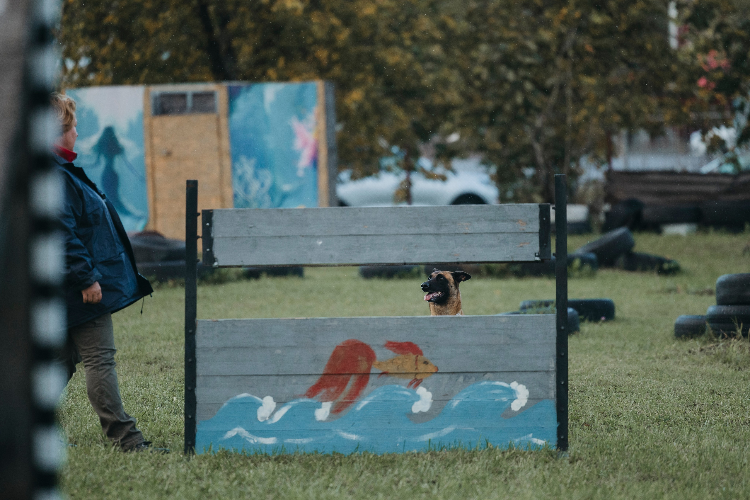 Испытания по мондьорингу г. Пушкин 29.09.2024. Фотограф-анималист Анна Маринич