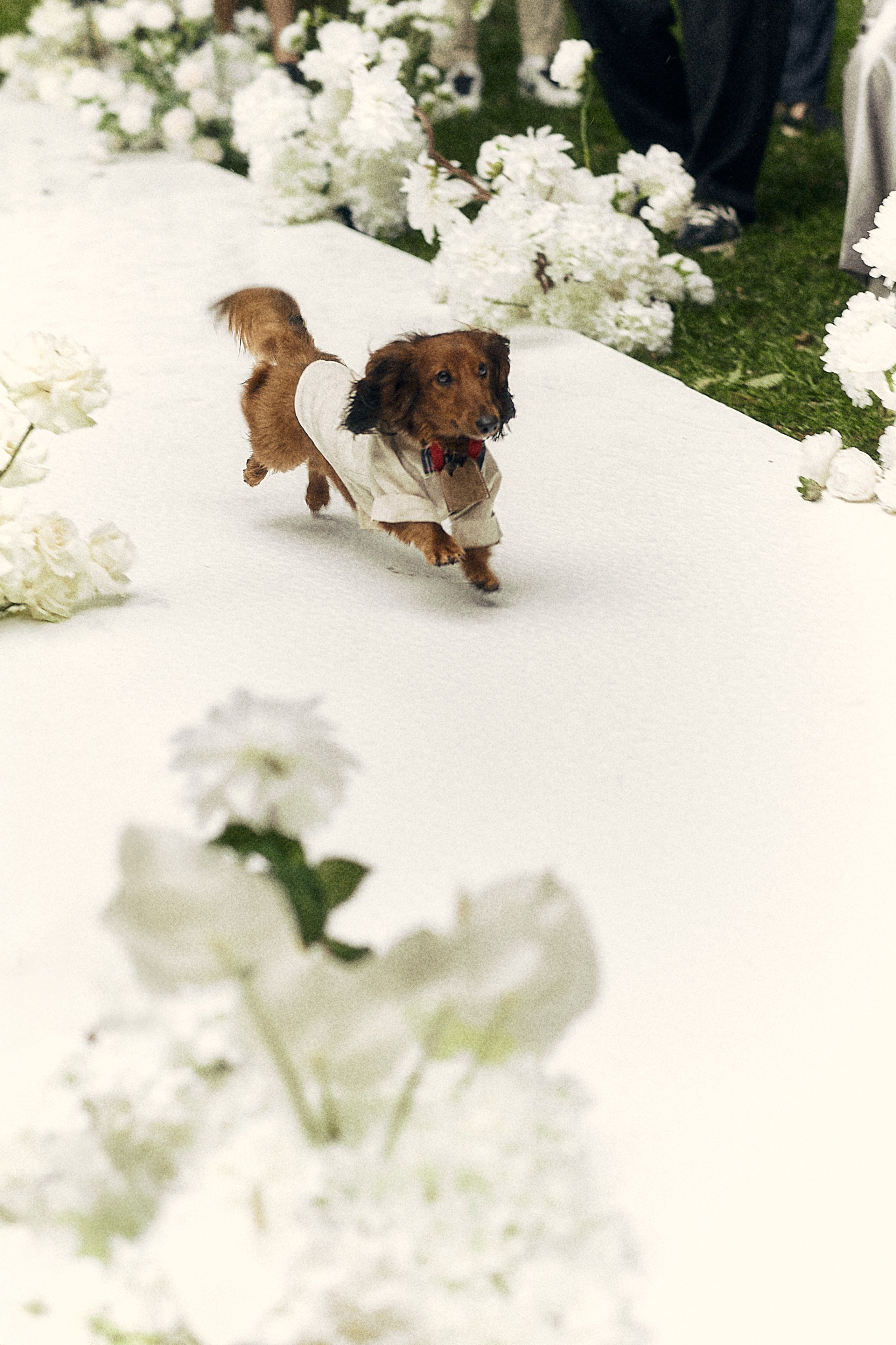 Анастасия и Влад. Свадебный и семейный фотограф в Иваново и Москве Мильков Вадим