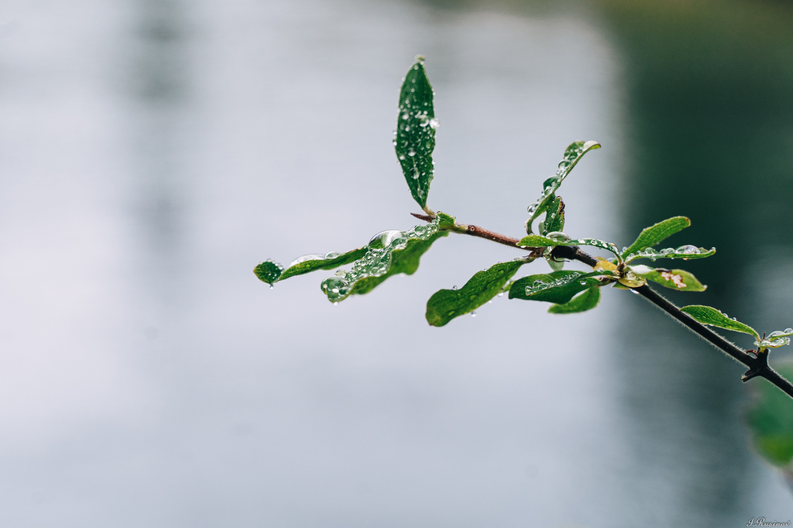 ХИБИНЫ 2021 г. Event фотограф Степанова Александра
