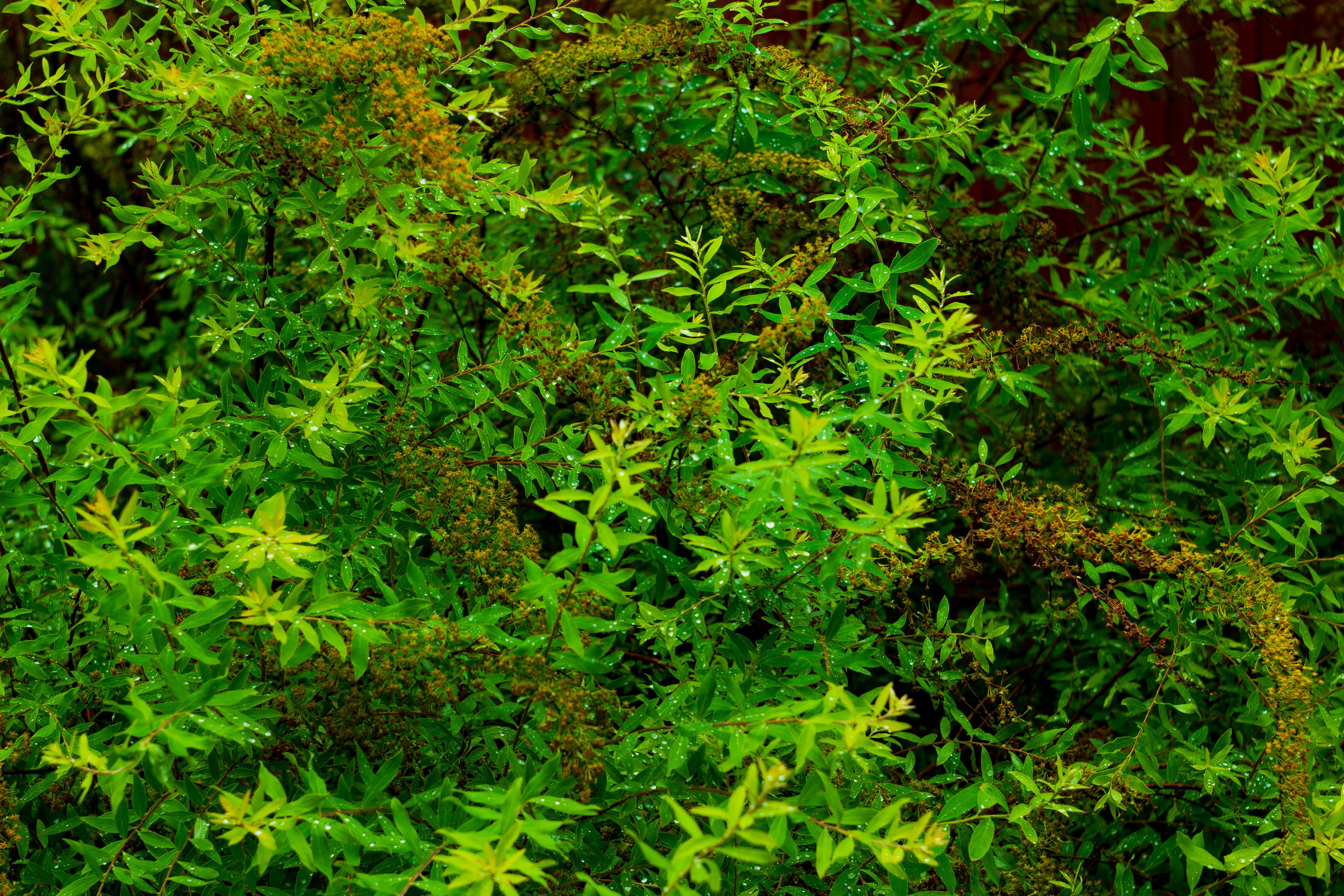 Dacha vibes. Папка кадров 📁