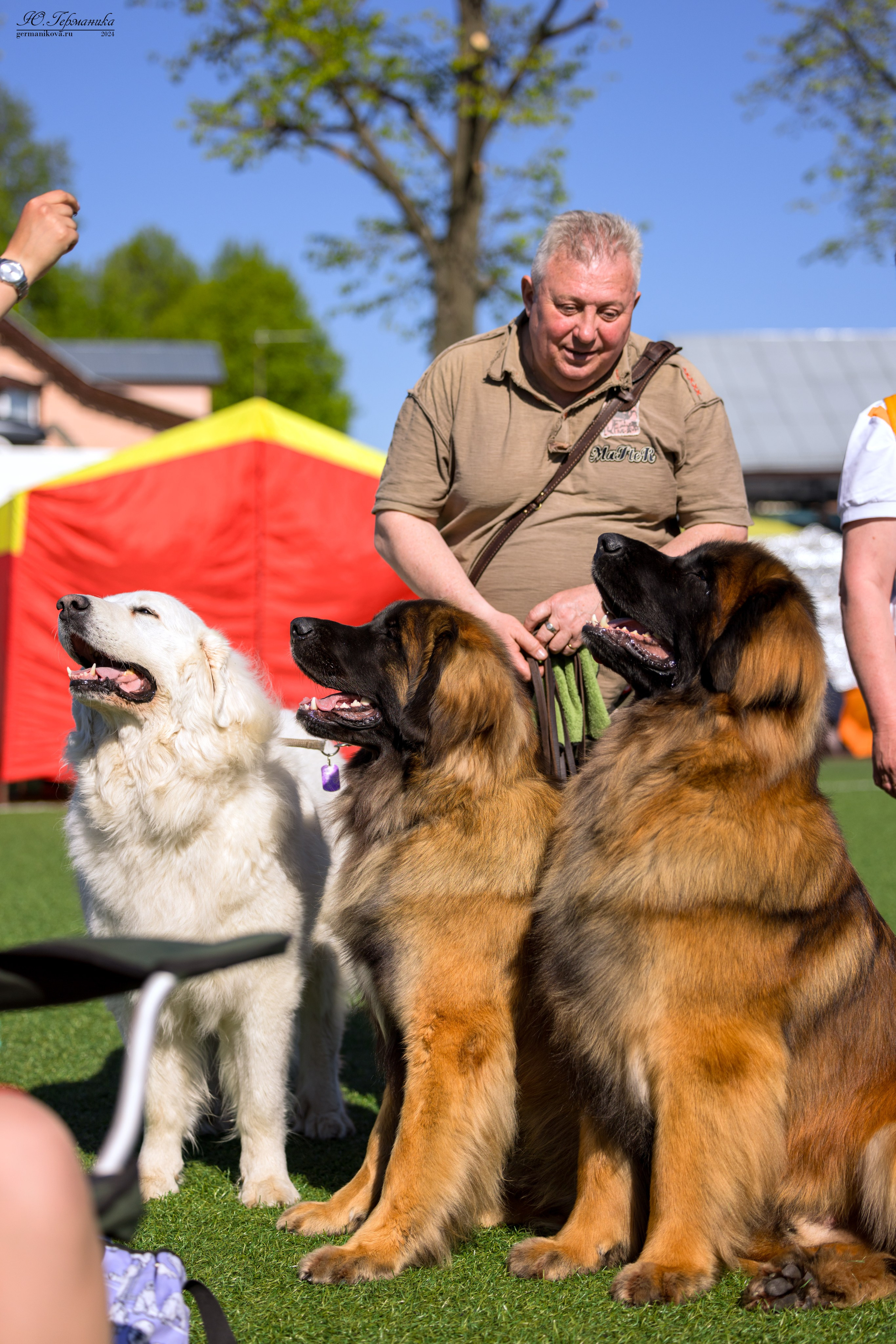 Суздаль 18-19.05.2024. Фотограф-анималист Юлия Германика