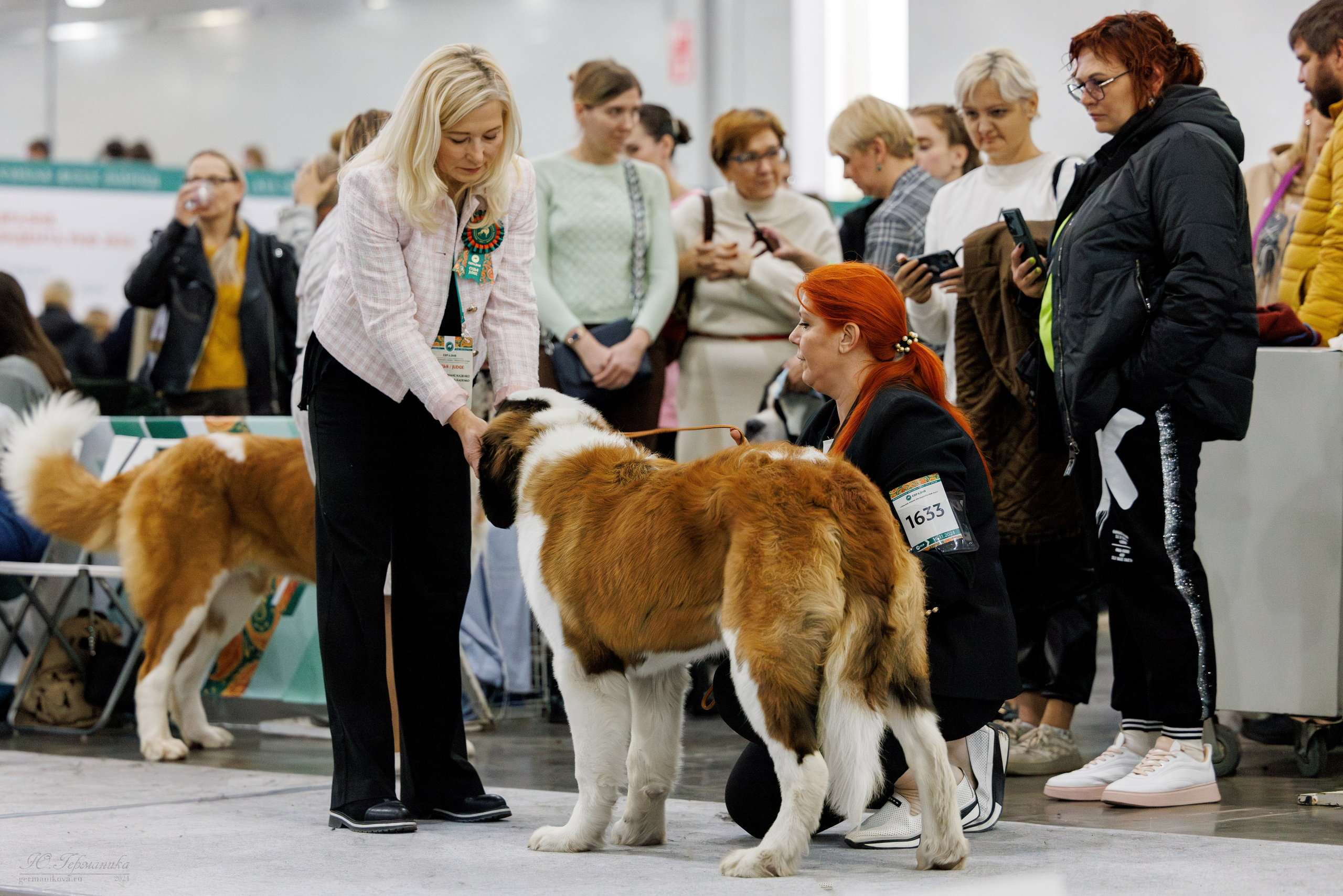 Евразия 16-17.11.2024. Фотограф-анималист Юлия Германика