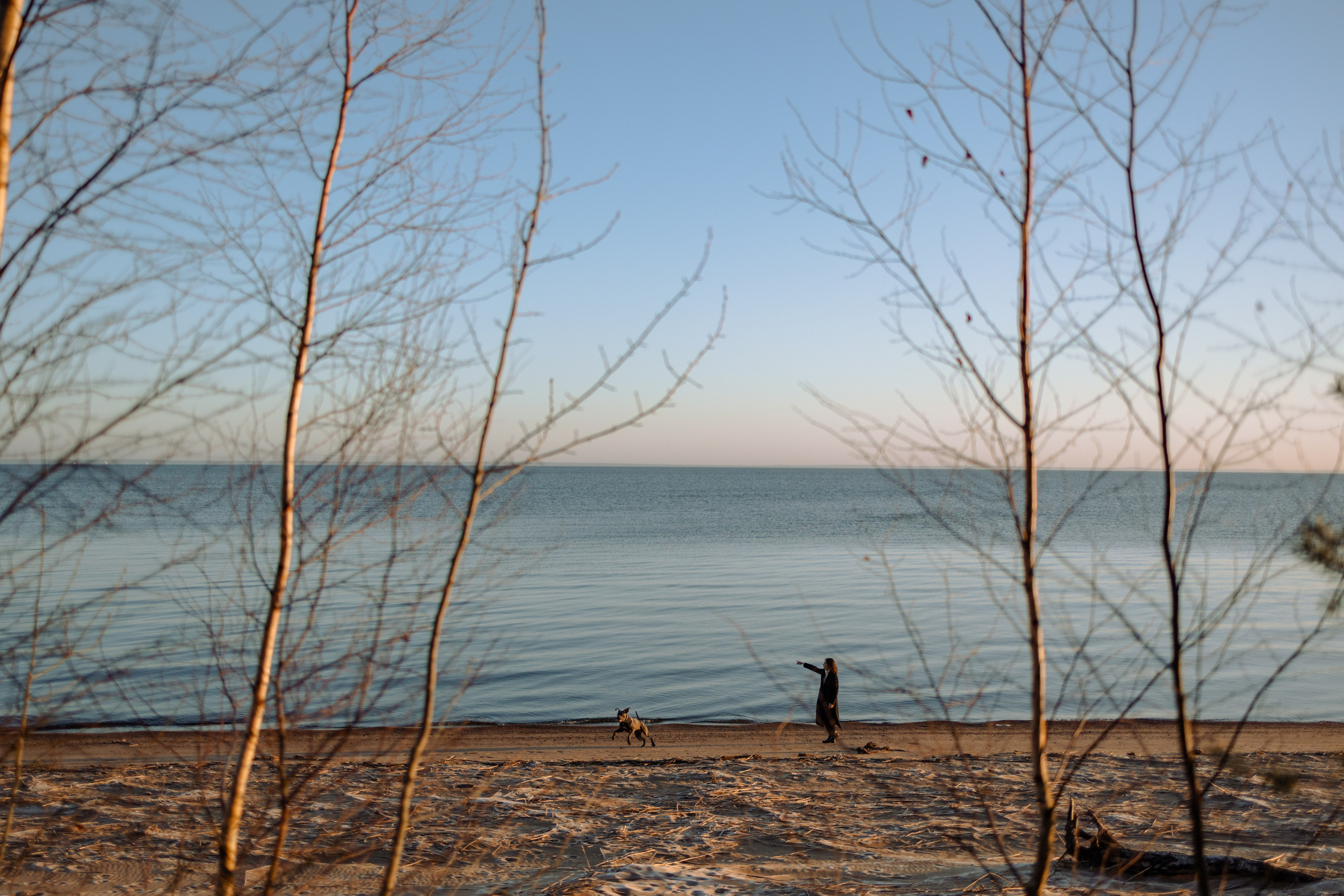 Анна и Лана. Фотограф — Анималист | Санкт-Петербург