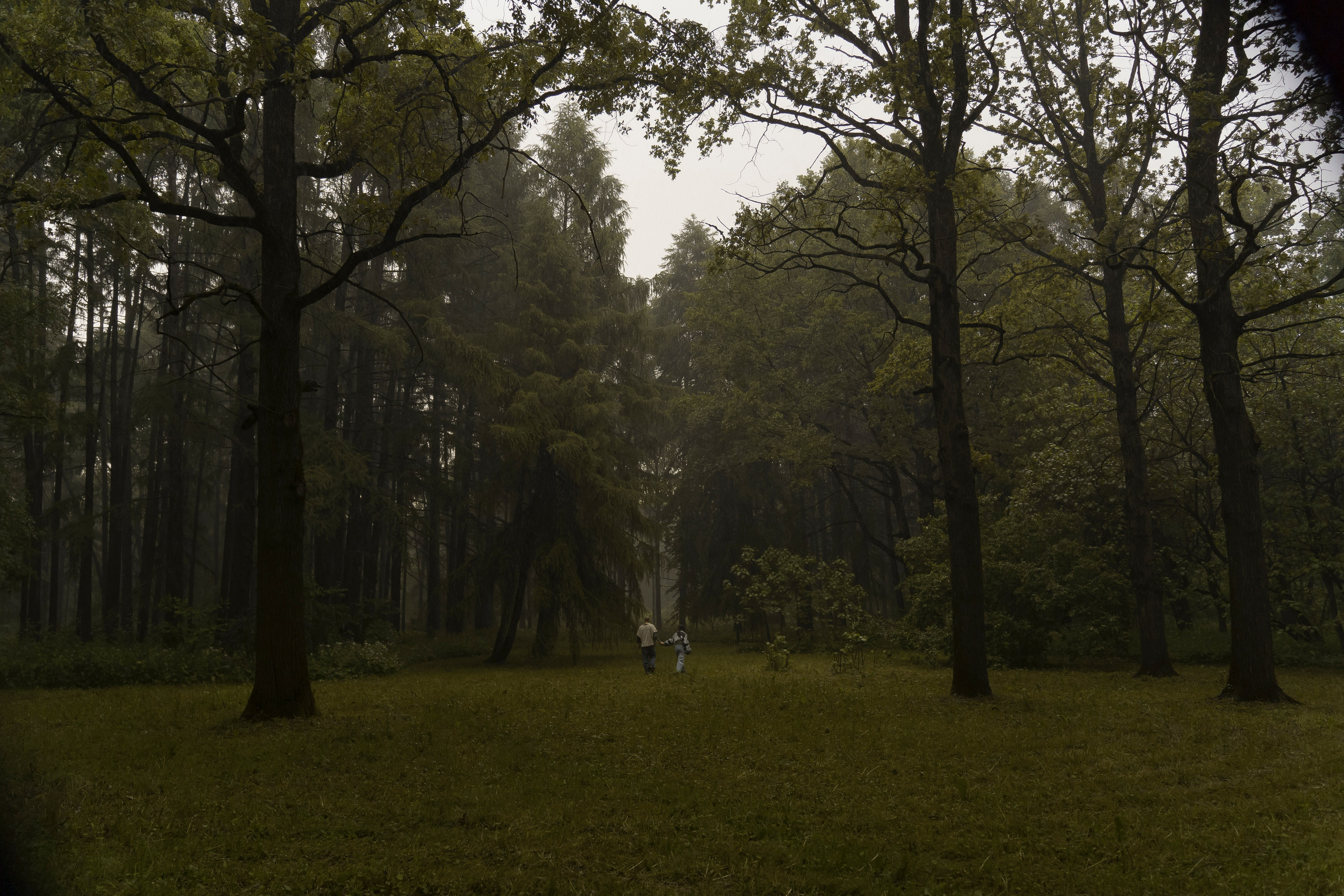 В ОБЪЯТИЯХ ДОЖДЯ. Свадебный фотограф Диана Грицай