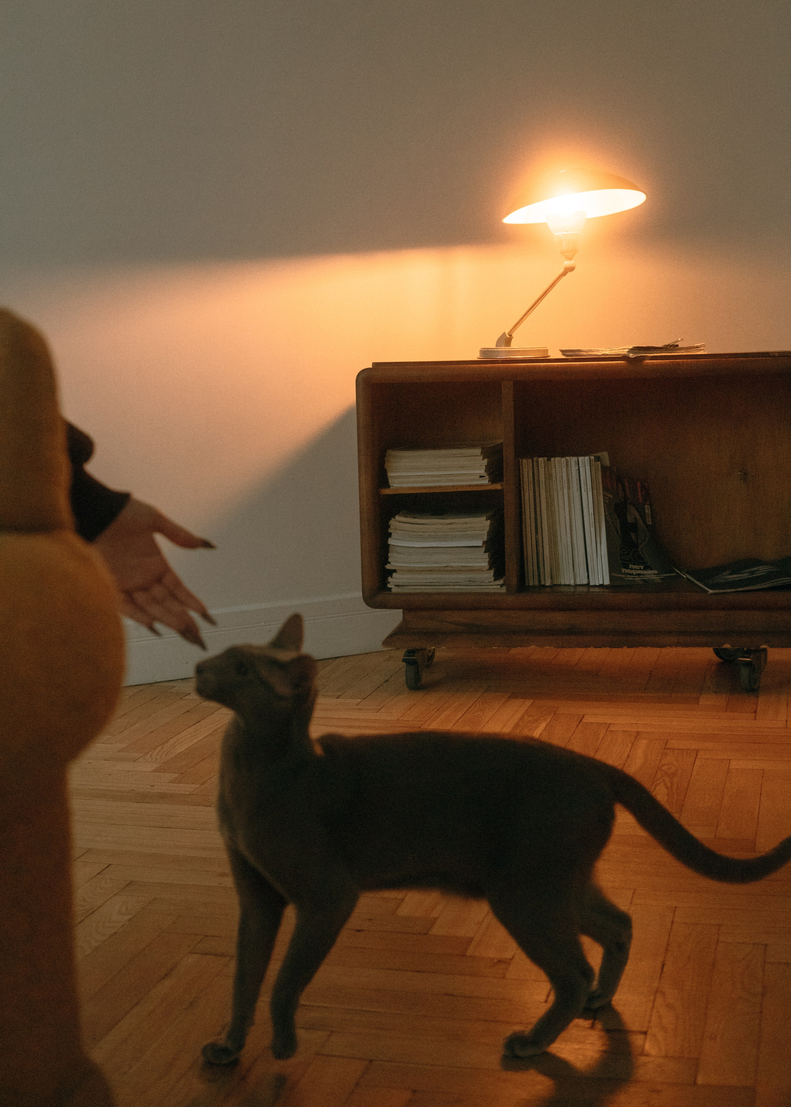 Амина, Булат и Орион. Фотограф-анималист Ксения Воробьева, Москва