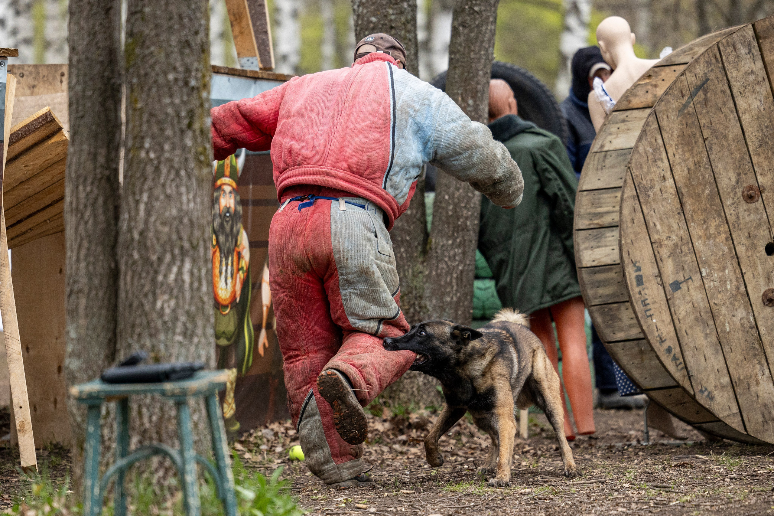 Квалификационные состязания по мондьорингу г. Вологда 11.05.24. Фотограф-анималист Анна Маринич